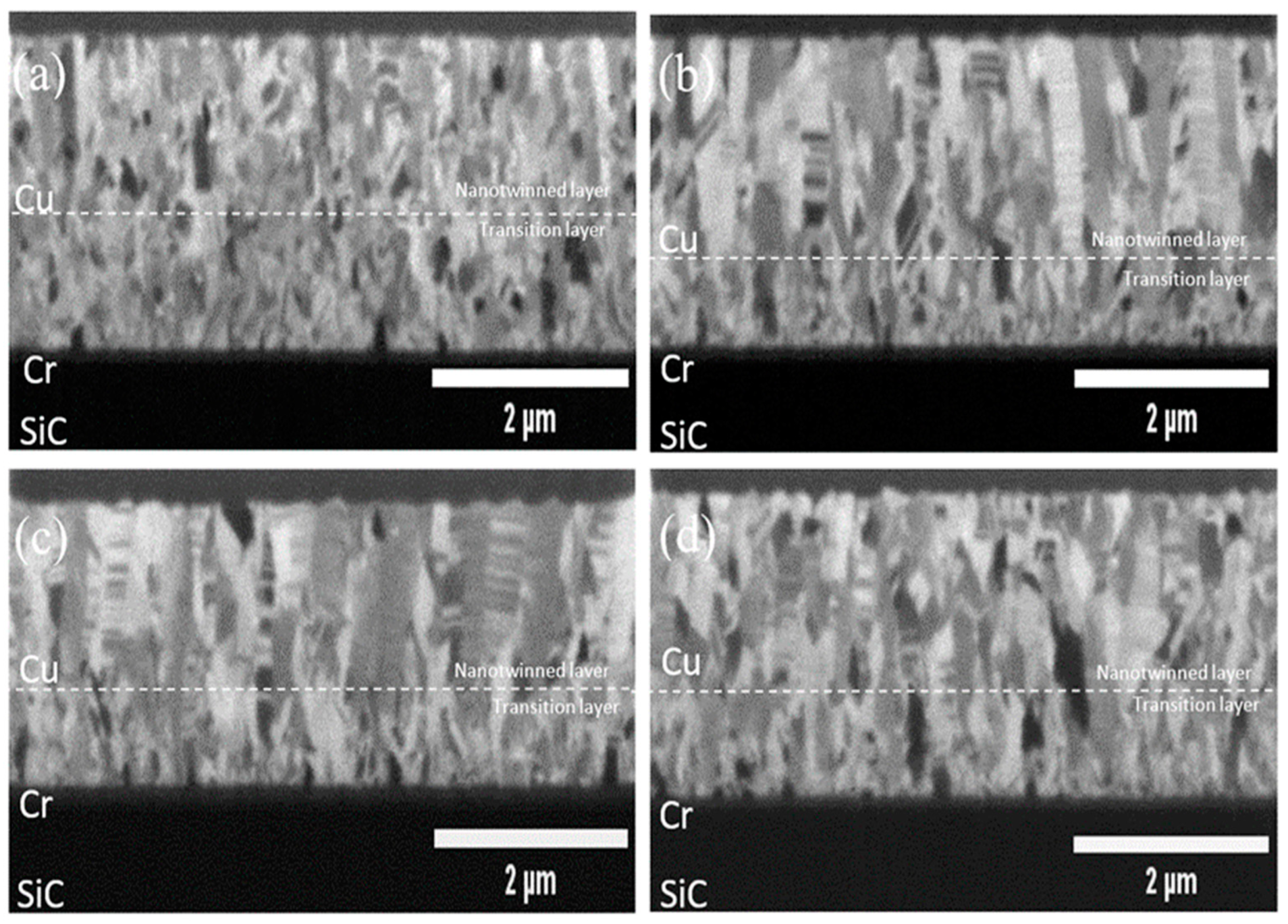 Preprints 85545 g002