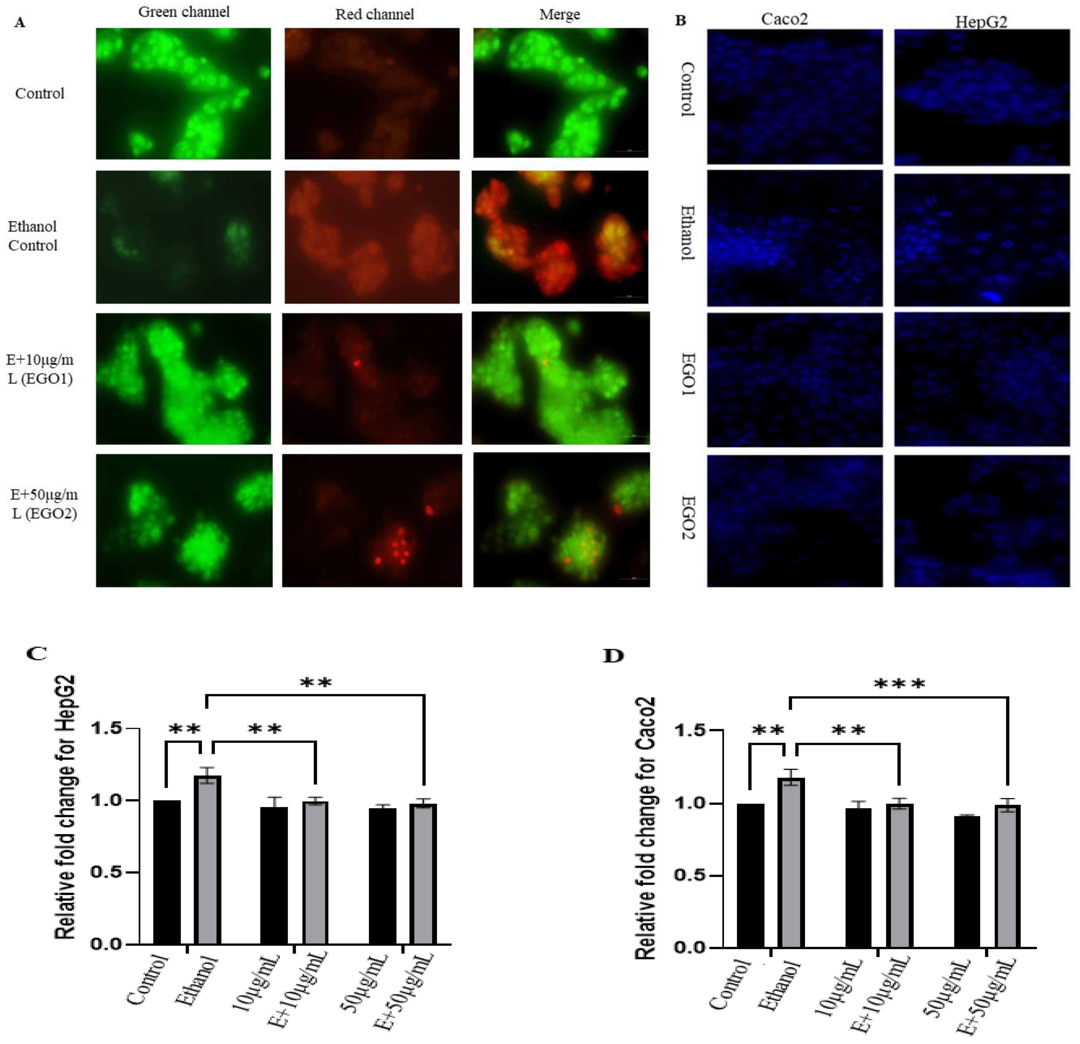 Preprints 104846 g003