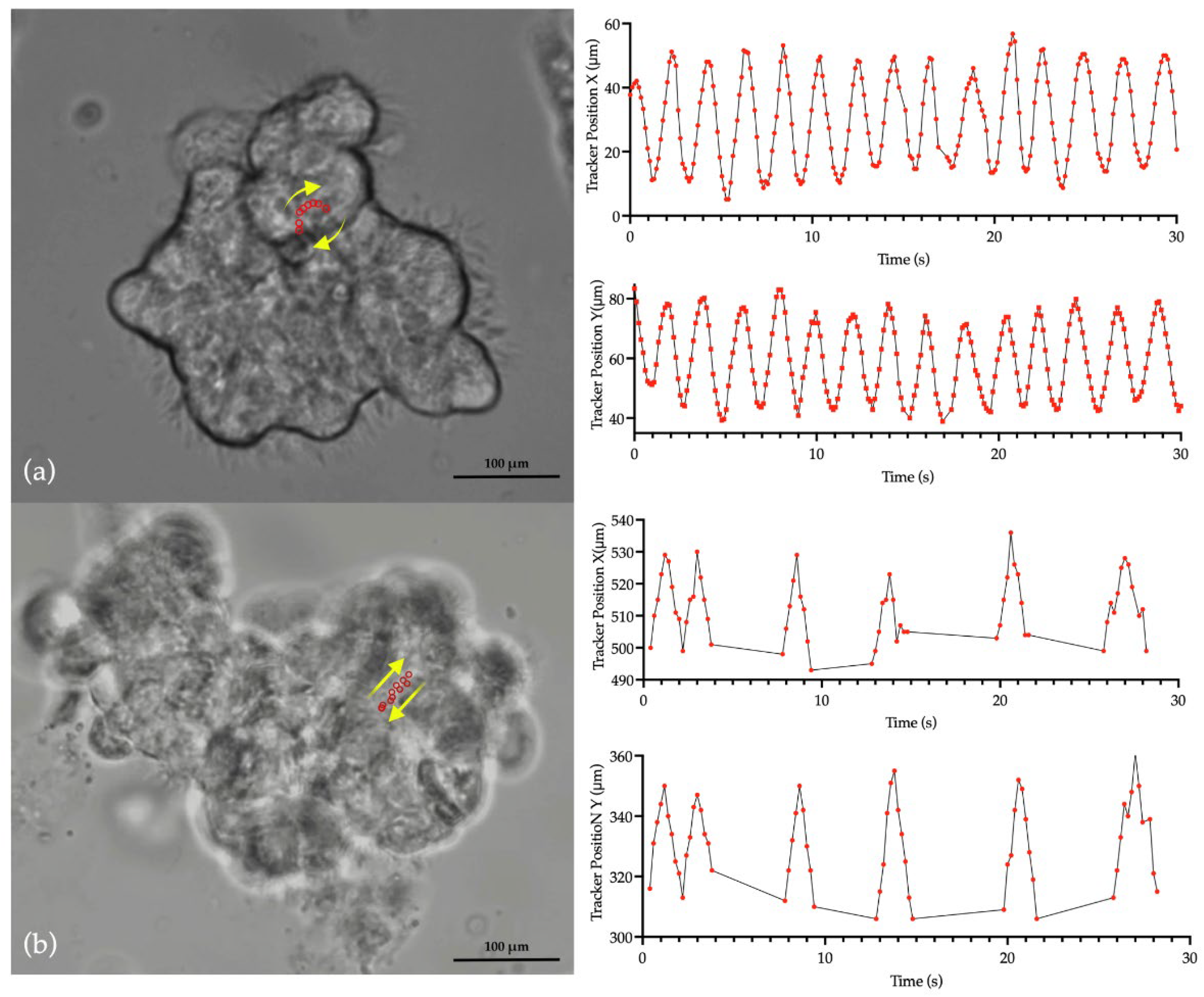 Preprints 99225 g002