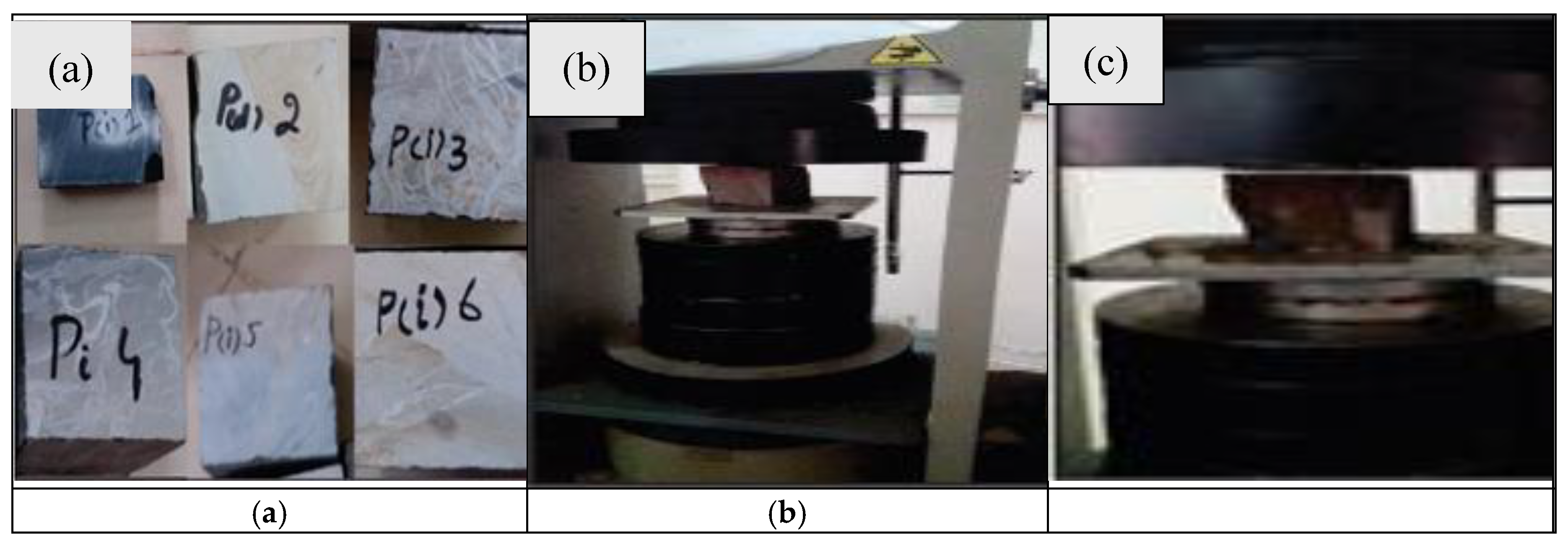 Preprints 118242 g008