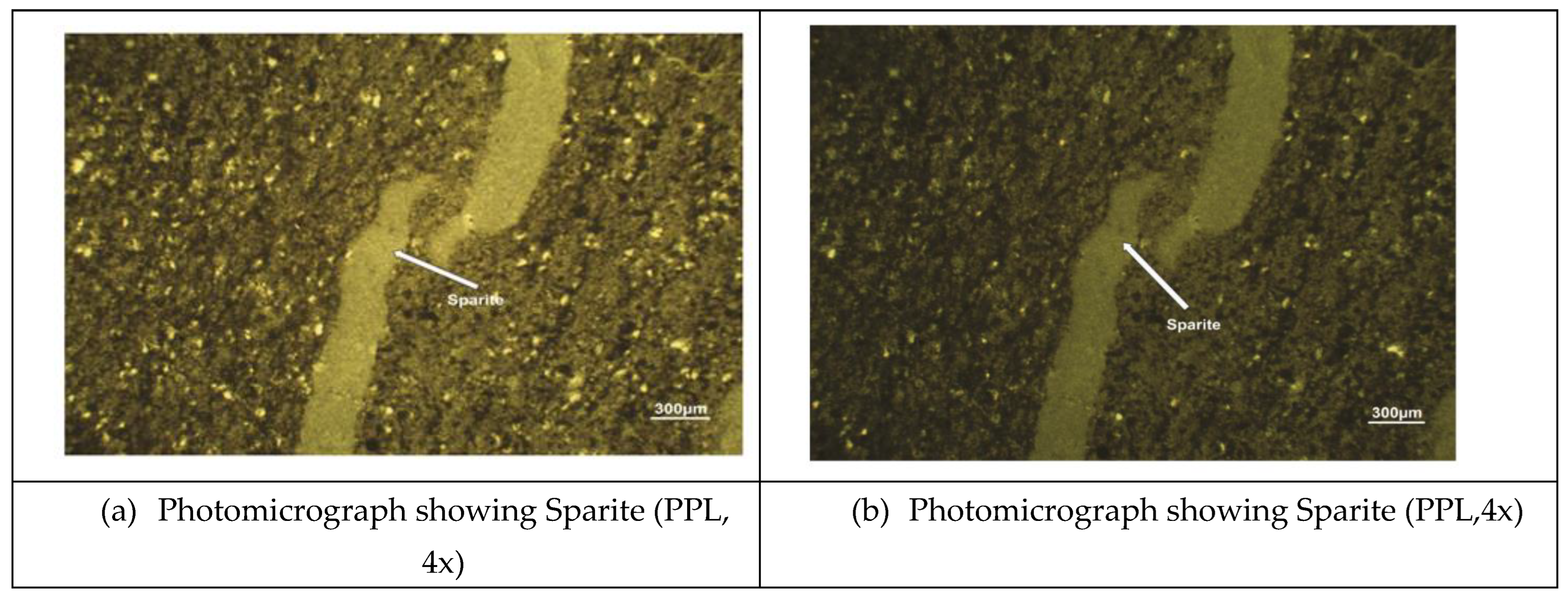 Preprints 118242 g019a