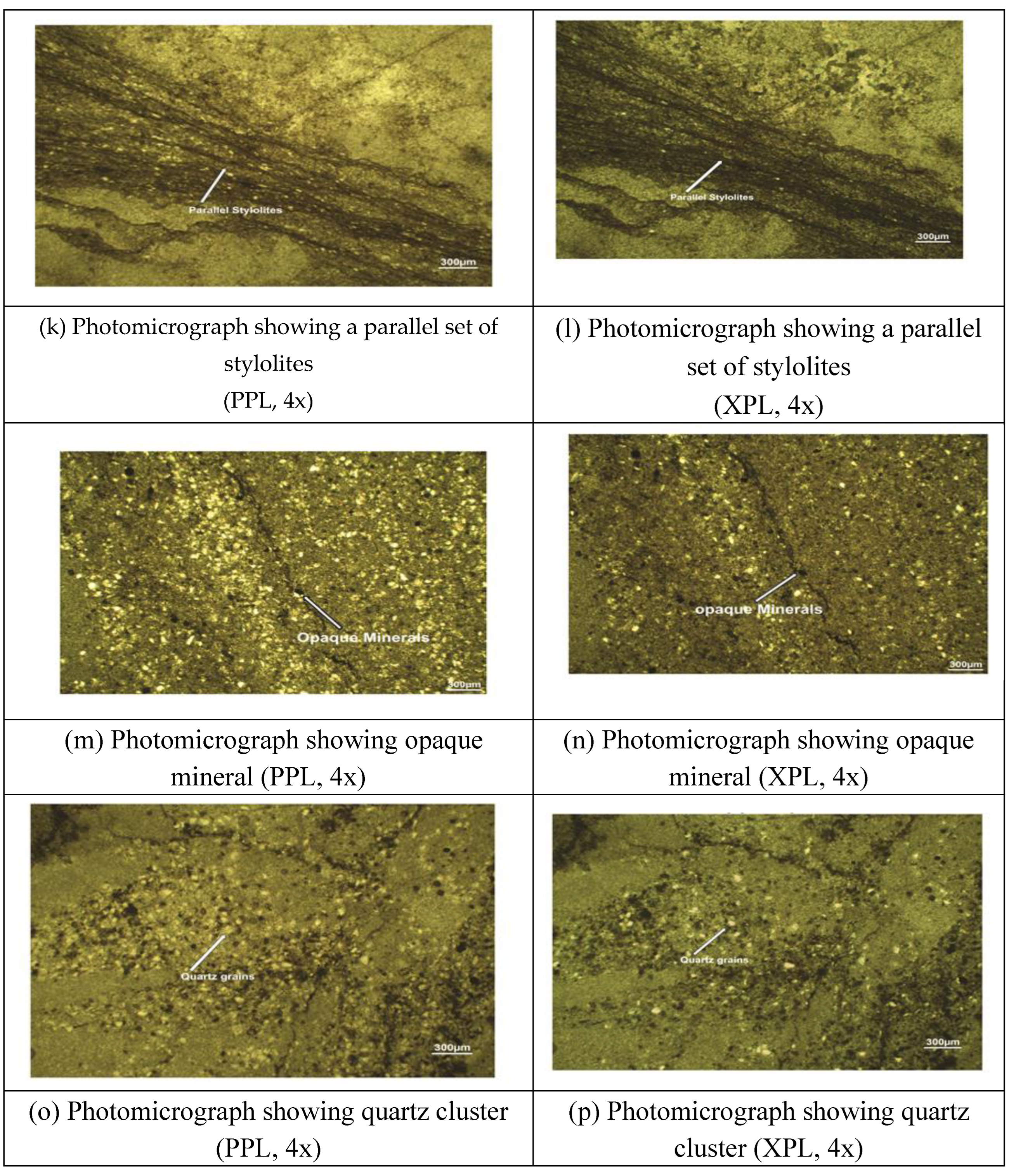 Preprints 118242 g019c