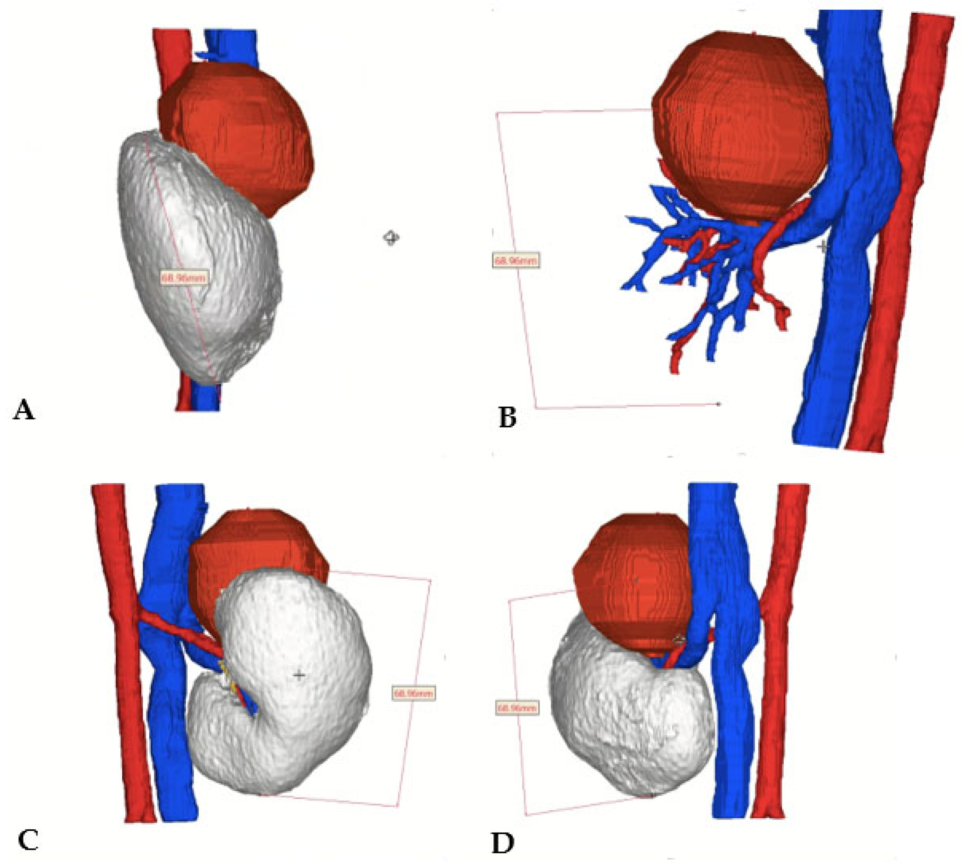 Preprints 85418 g004