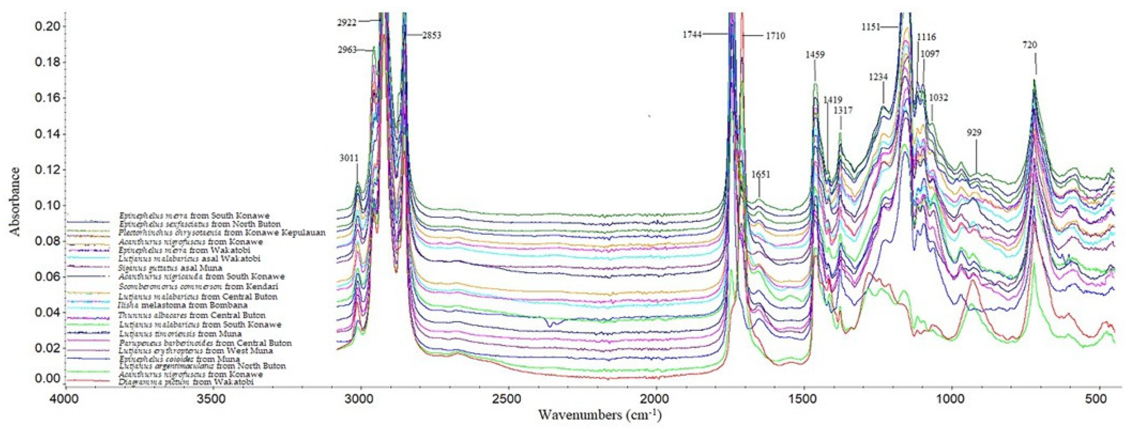 Preprints 72524 g001