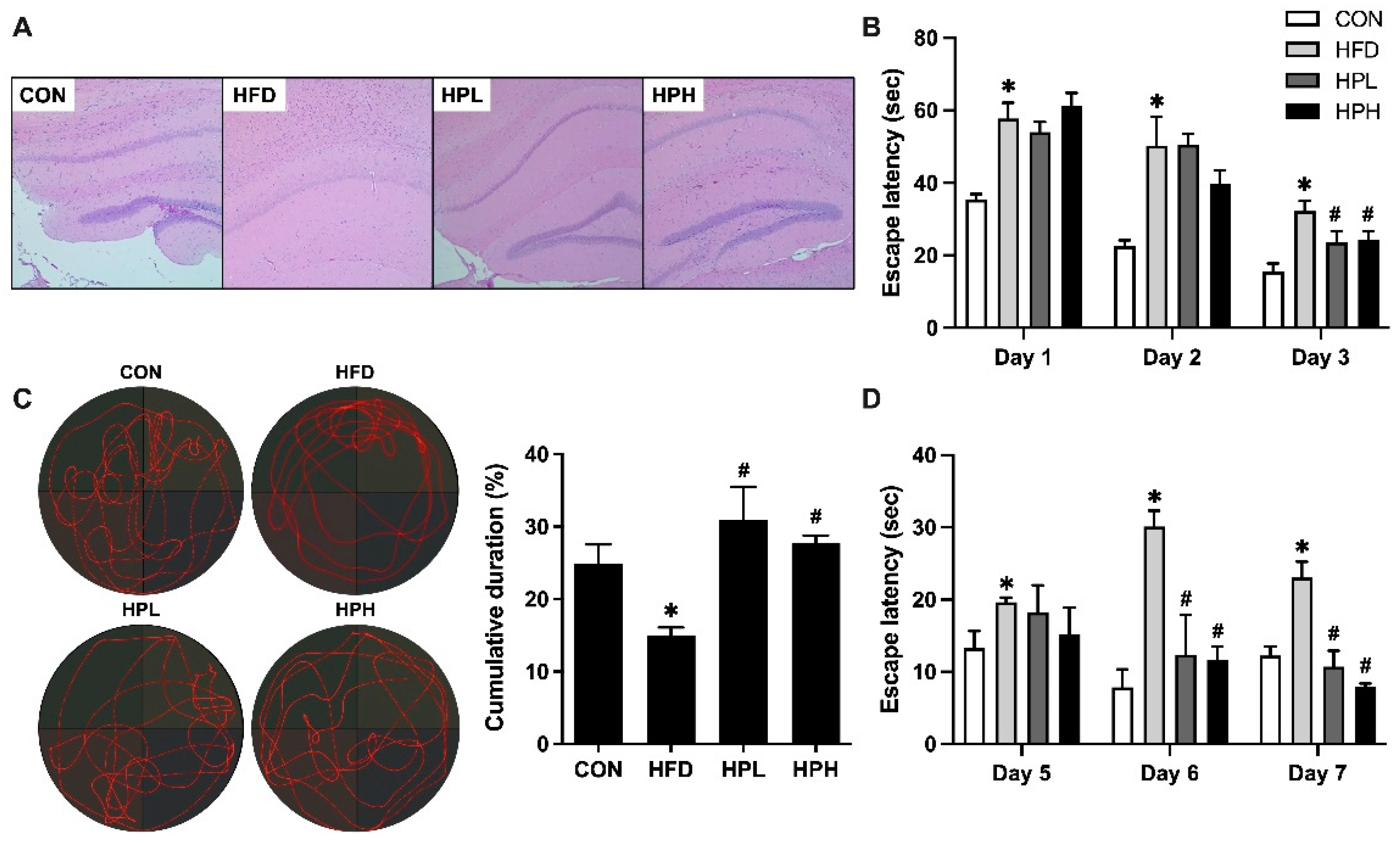 Preprints 121428 g002