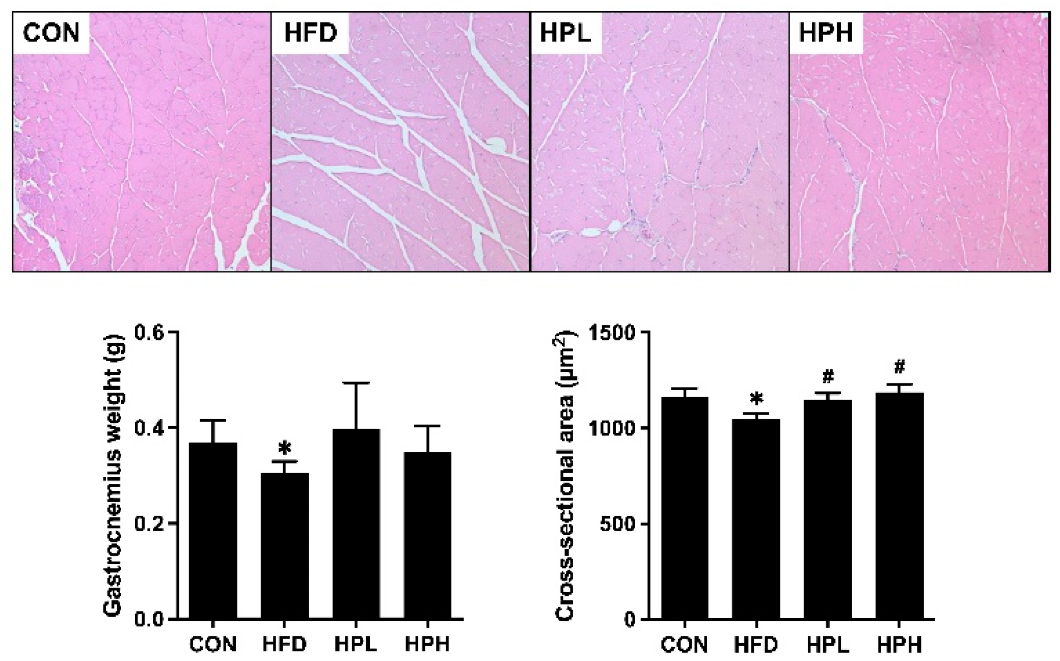 Preprints 121428 g003