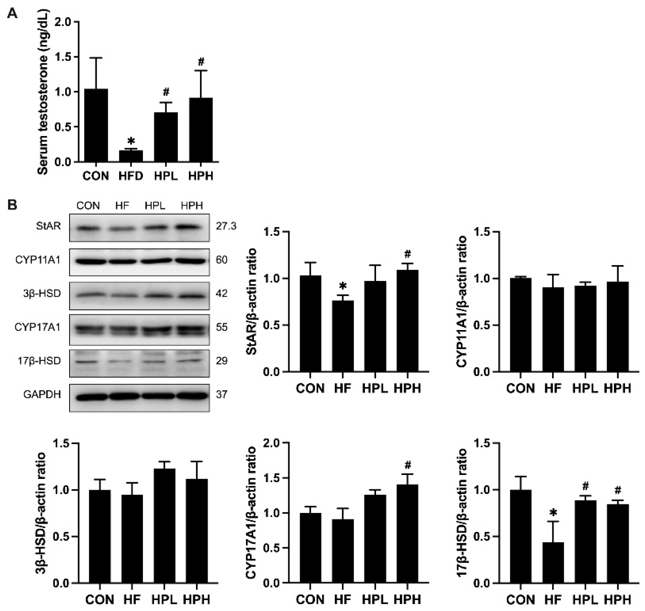 Preprints 121428 g005