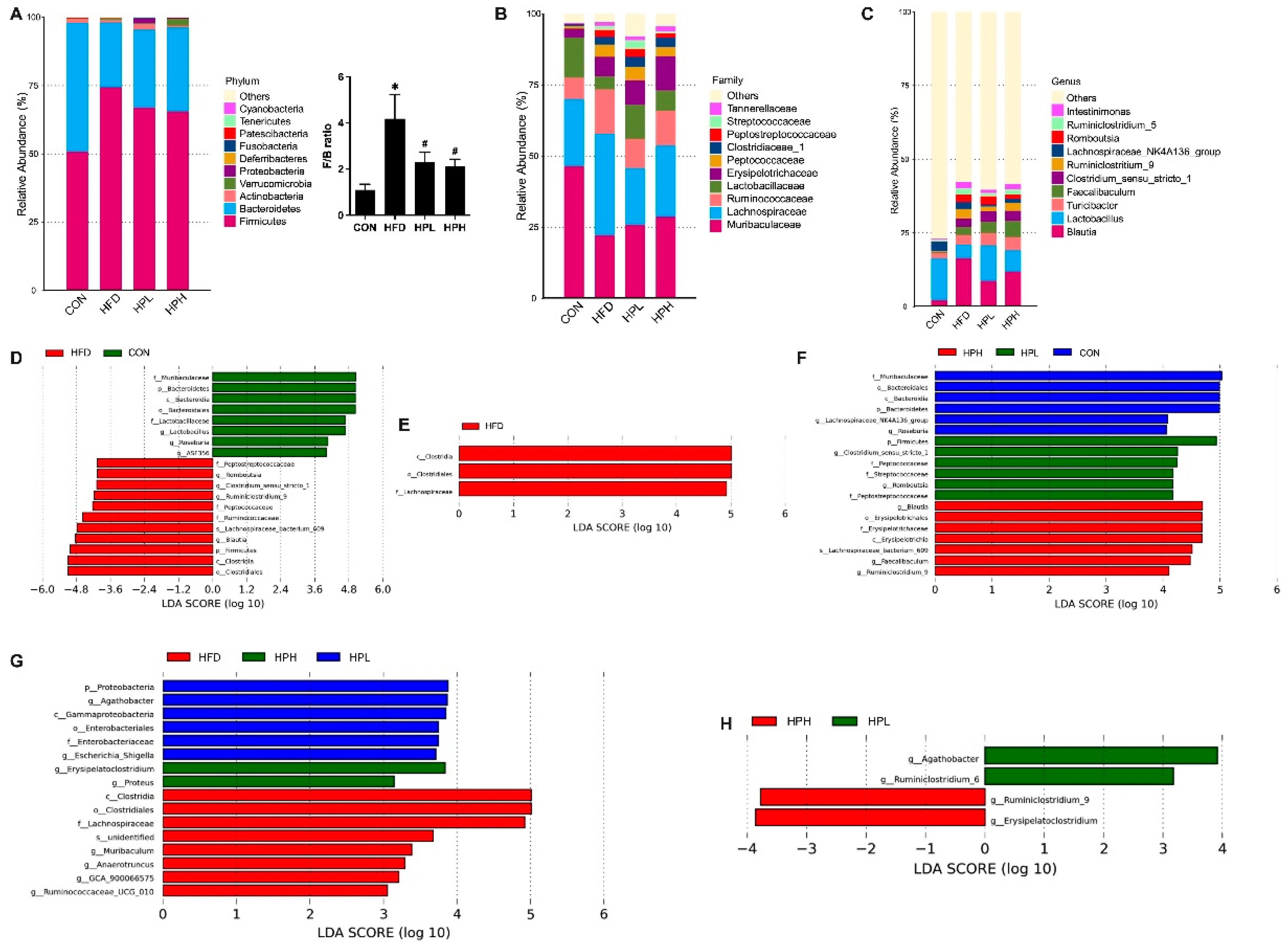 Preprints 121428 g007