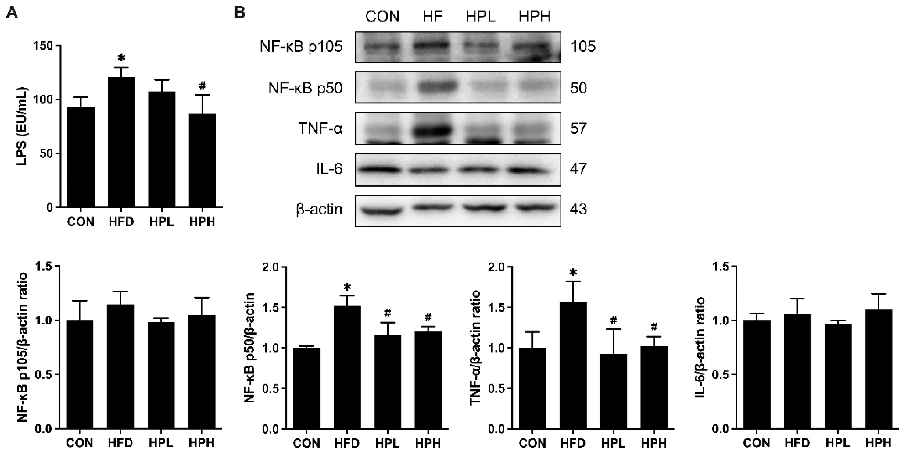 Preprints 121428 g010