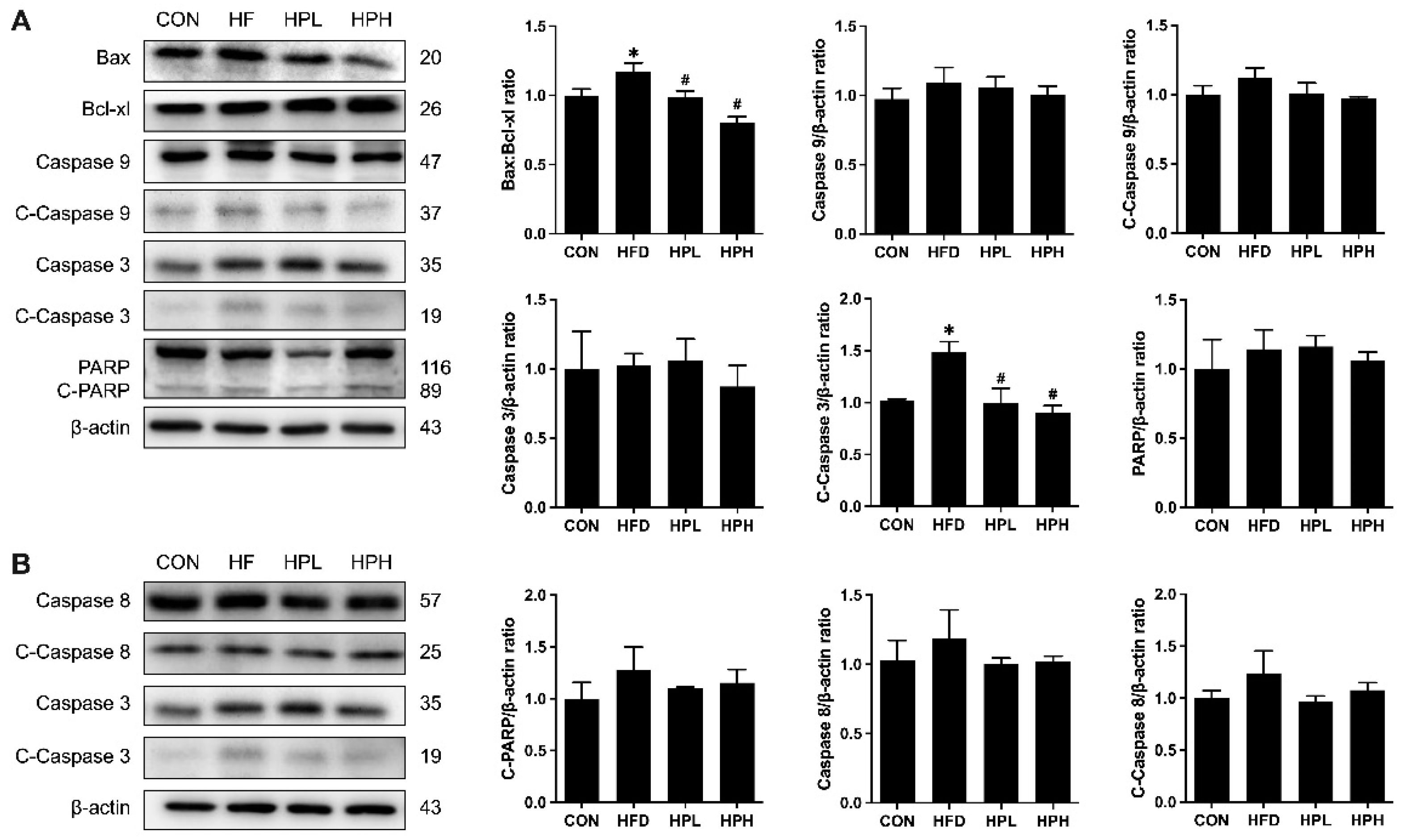 Preprints 121428 g011