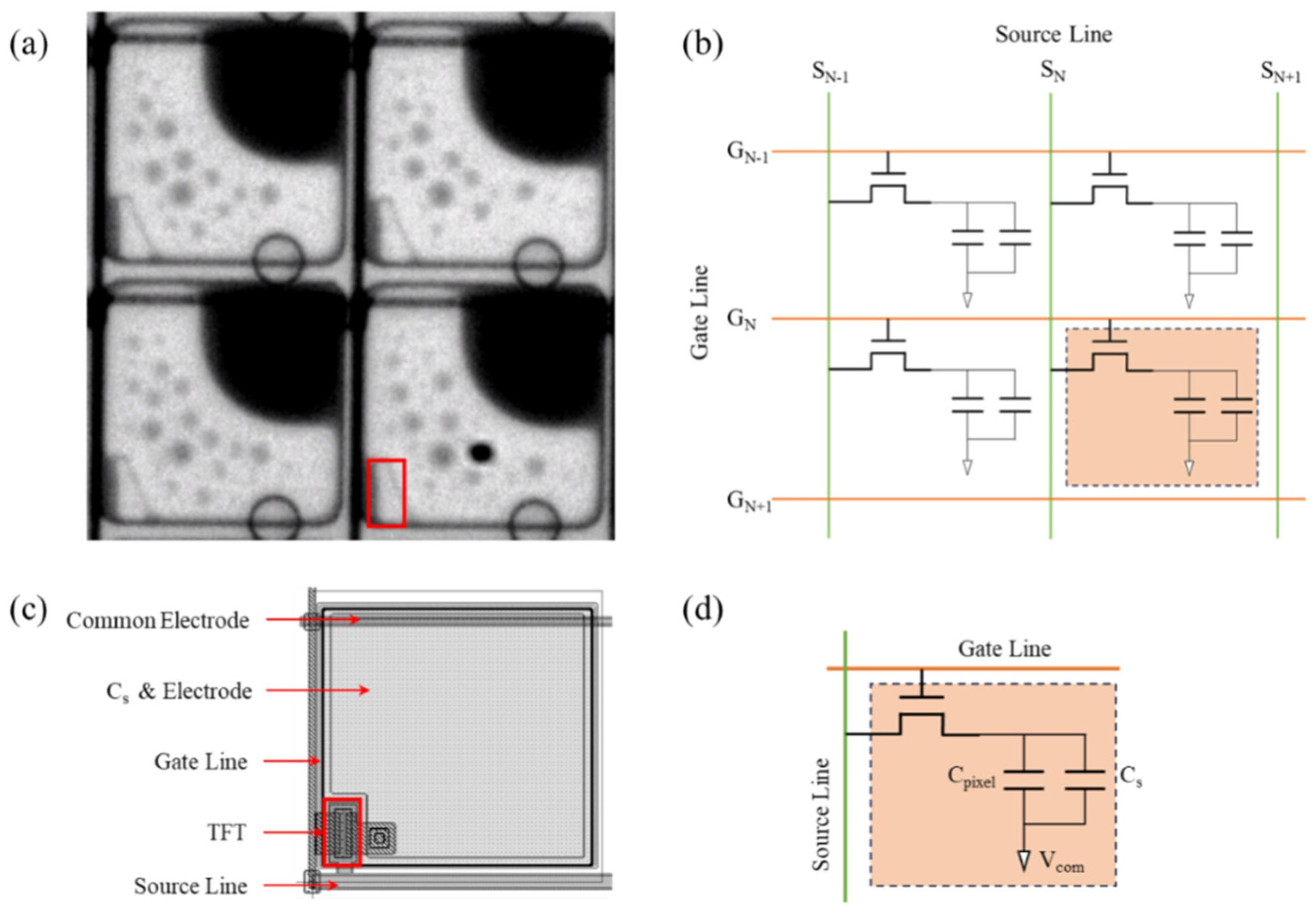 Preprints 116061 g001