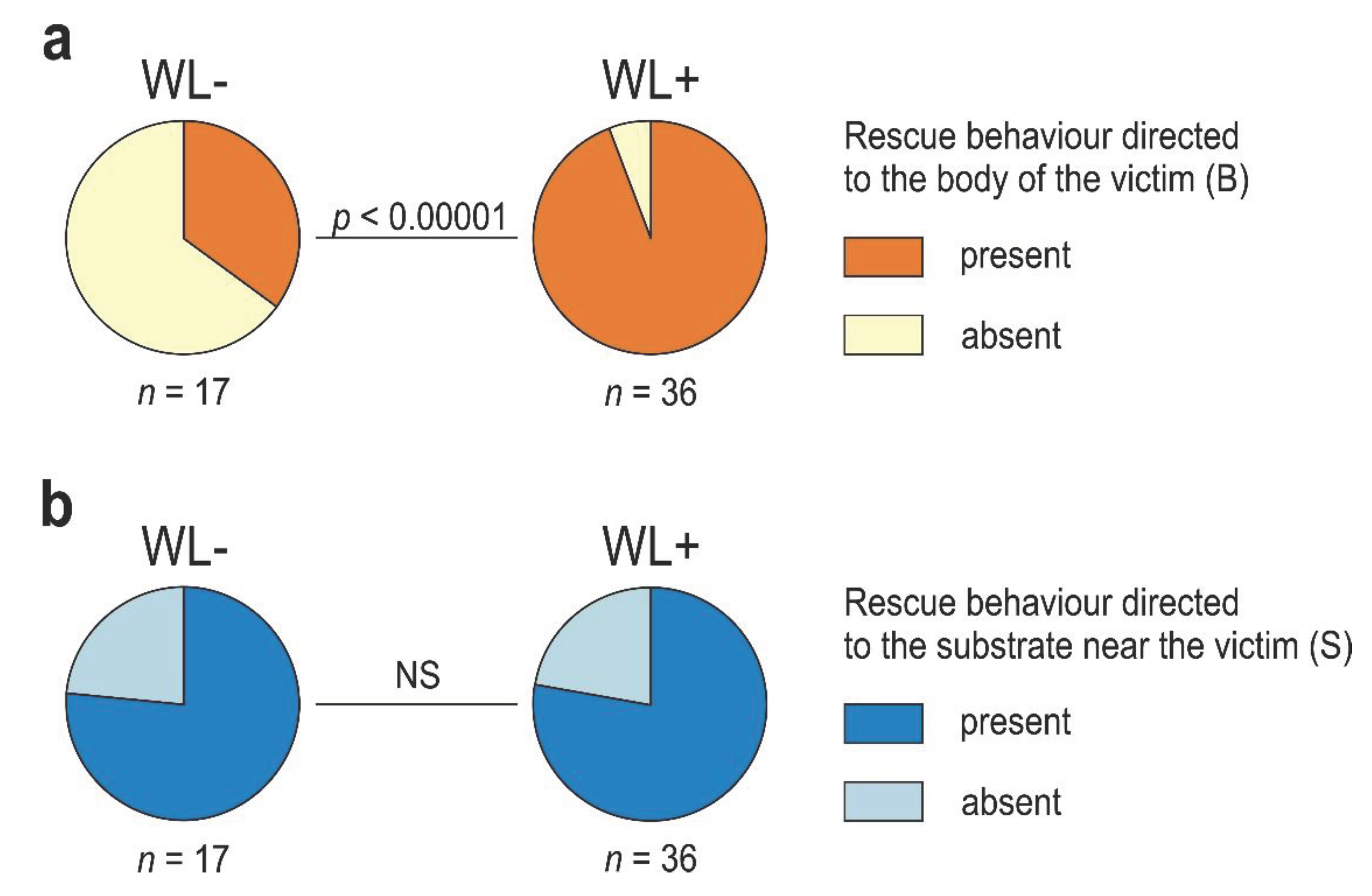 Preprints 99927 g003