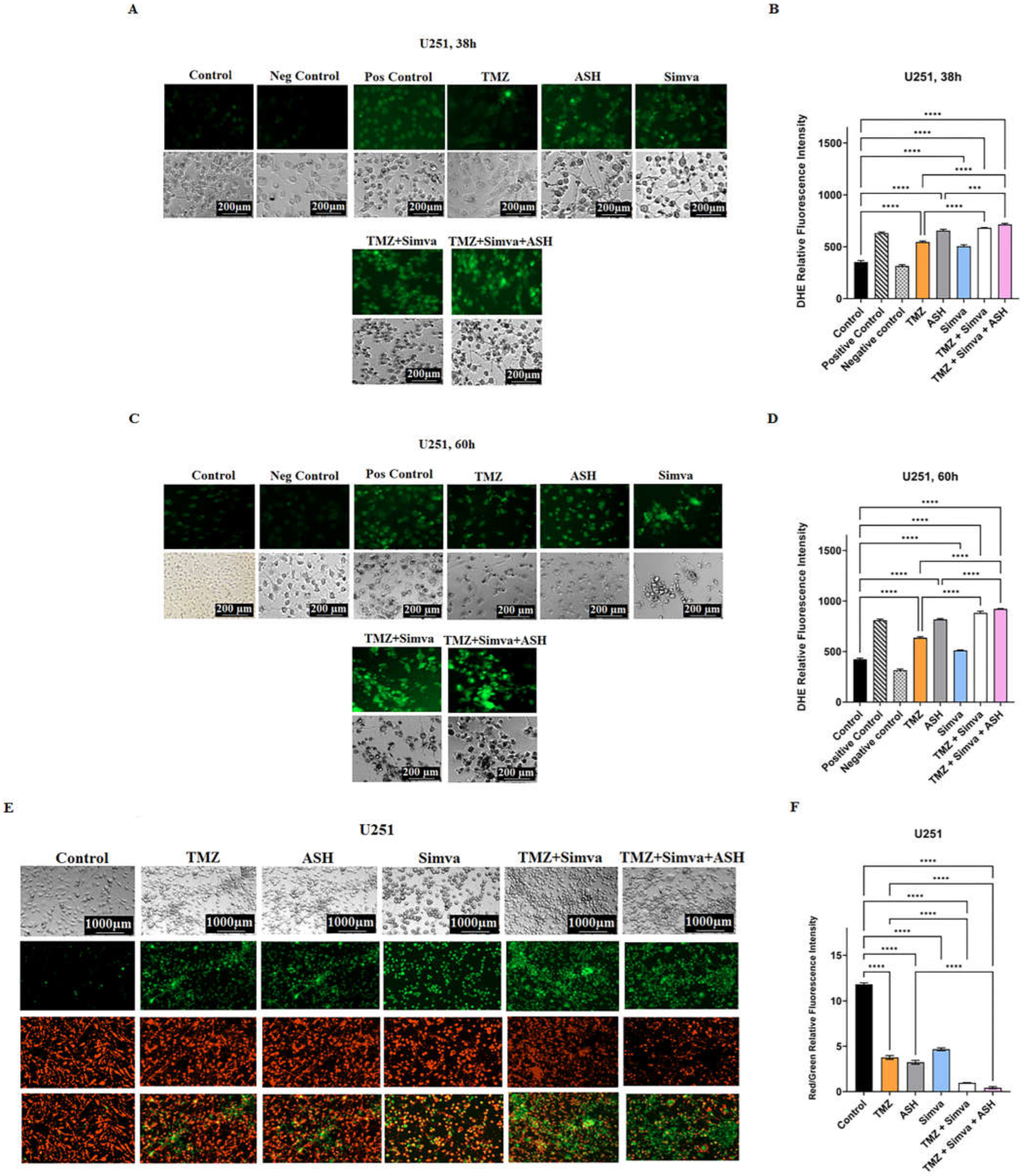 Preprints 67322 g003