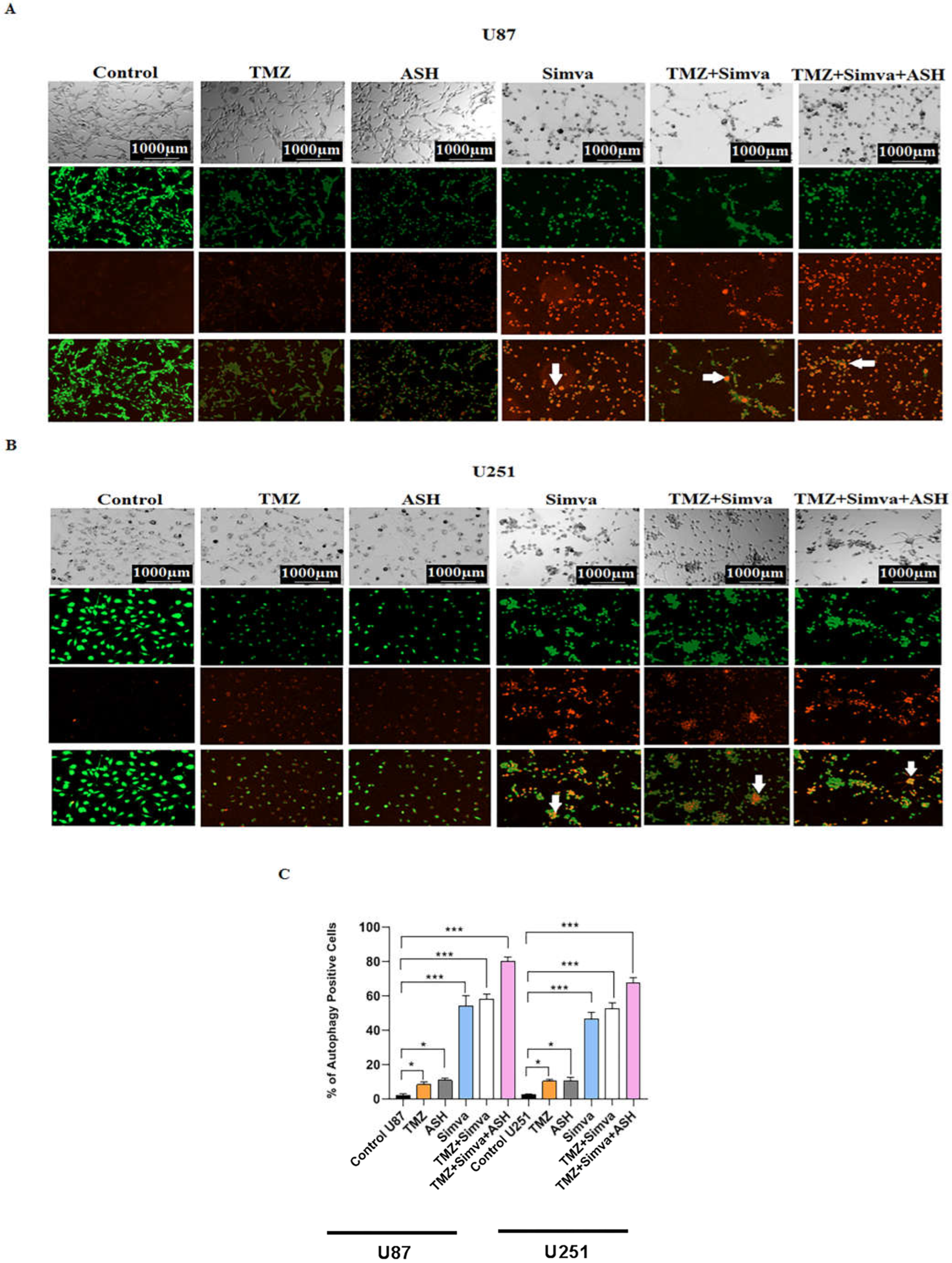 Preprints 67322 g004a