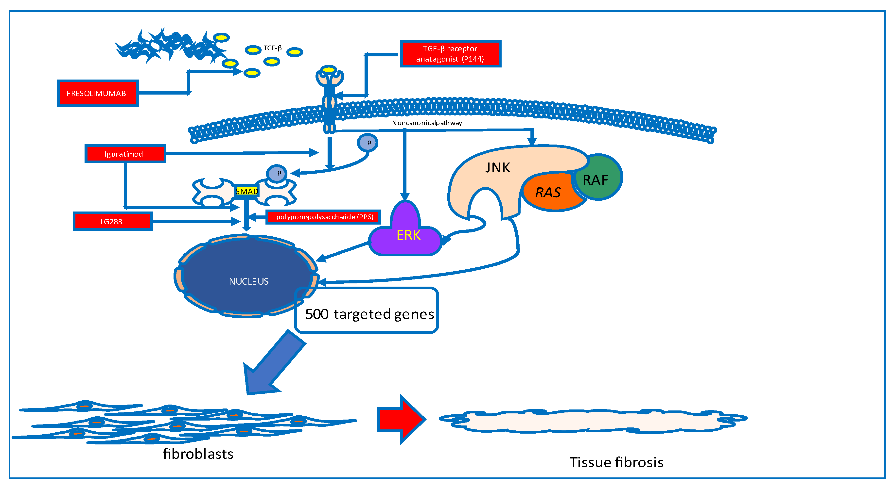 Preprints 75338 g001