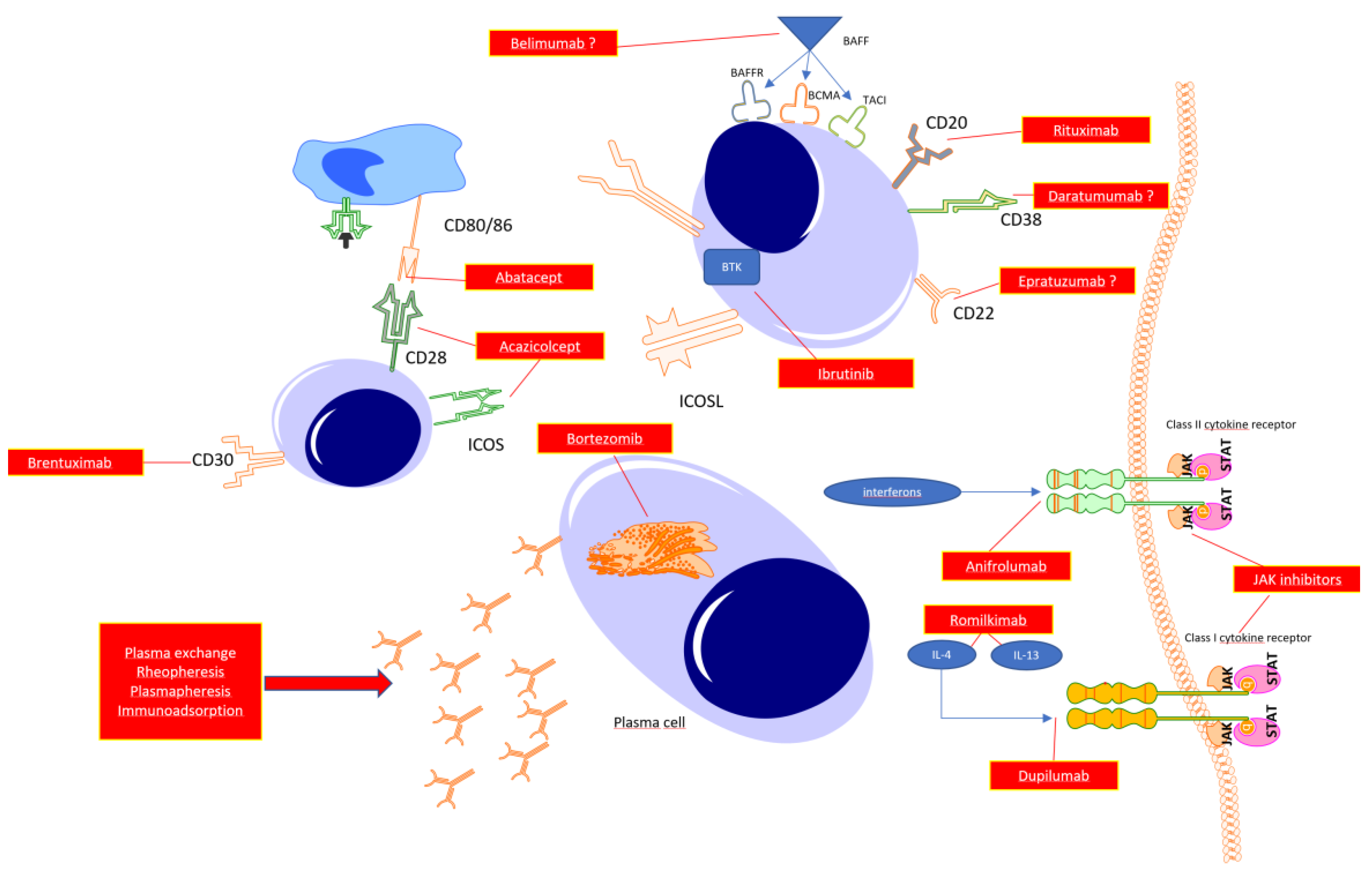 Preprints 75338 g002