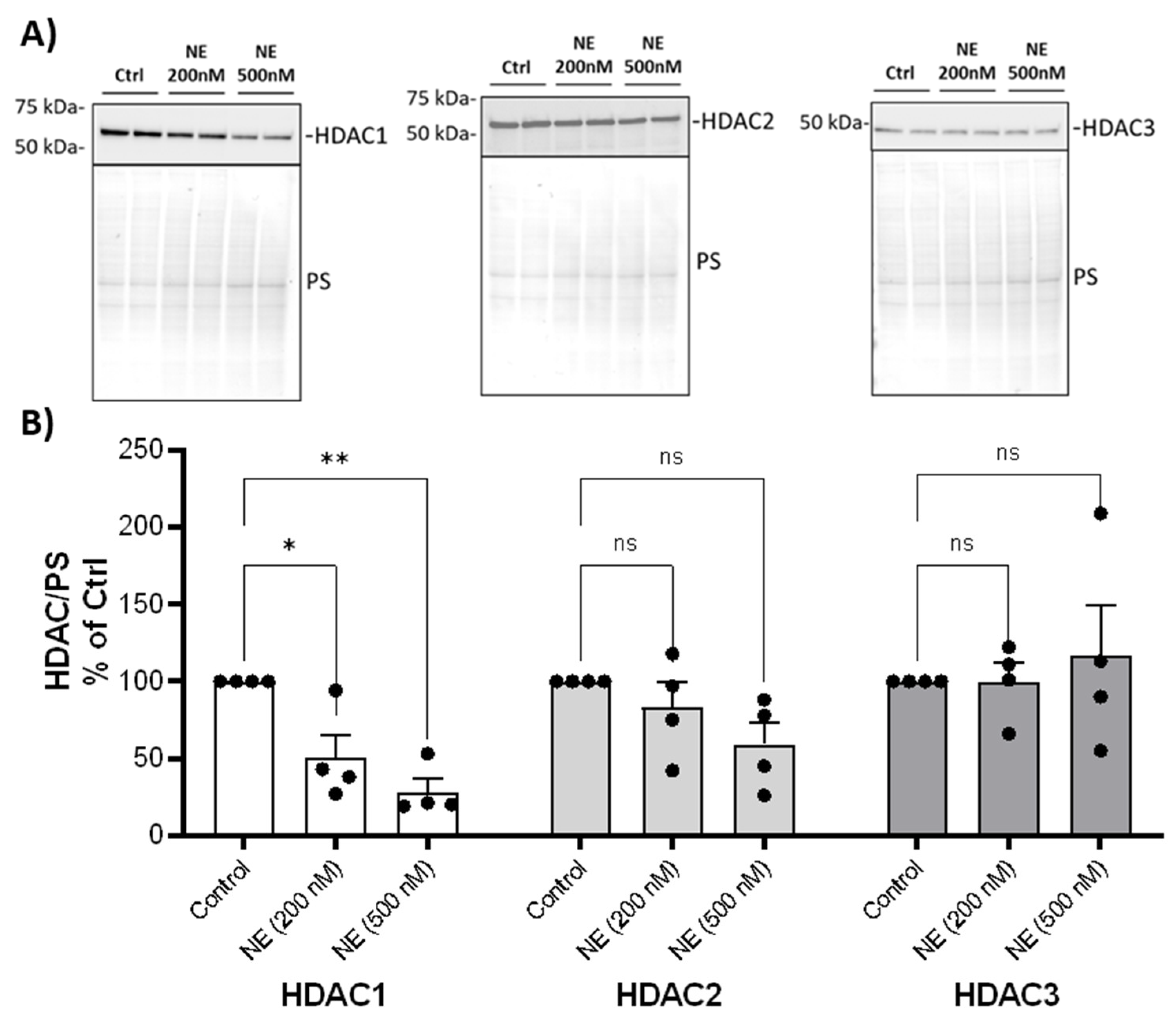 Preprints 100835 g001