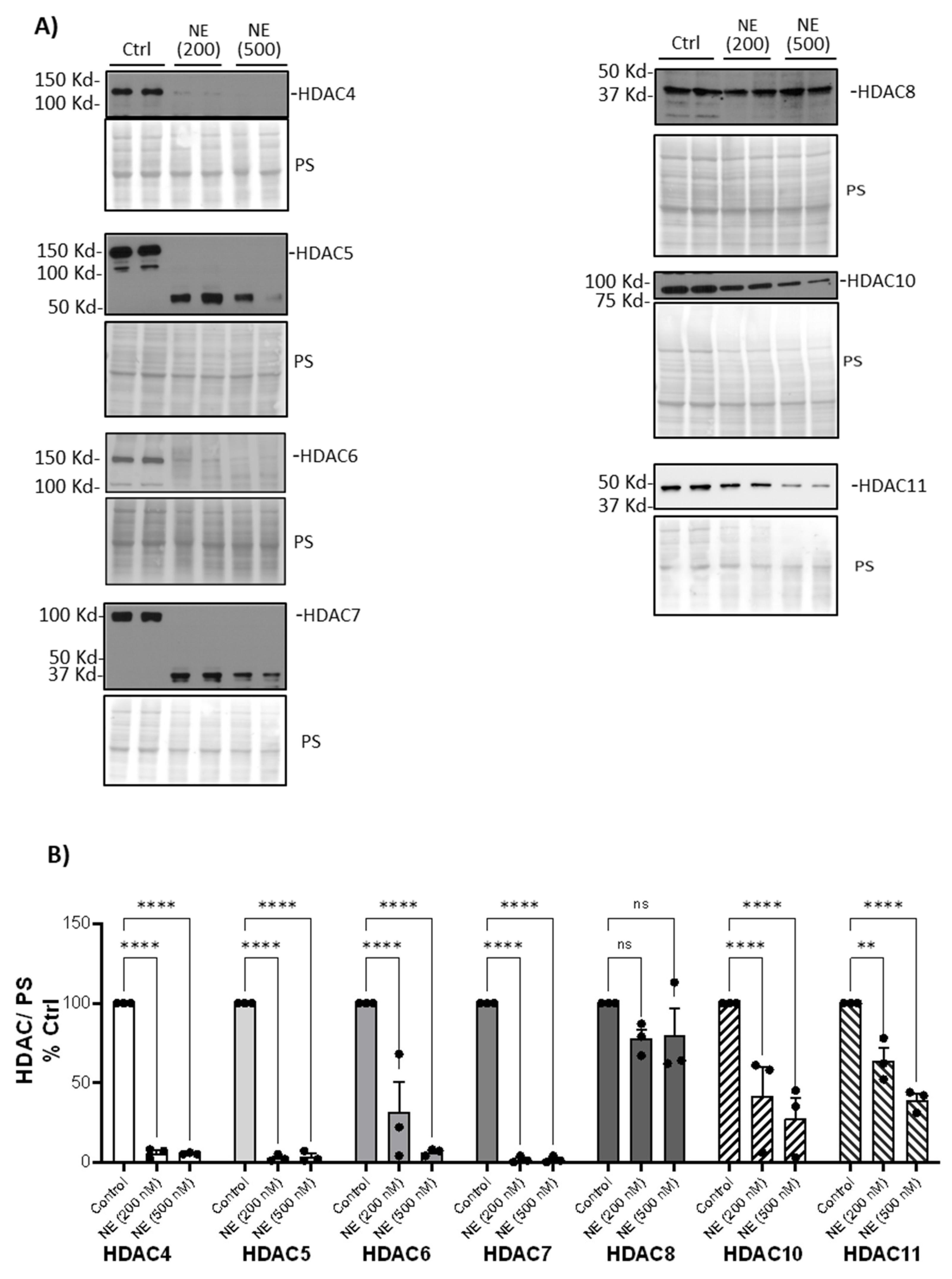 Preprints 100835 g002