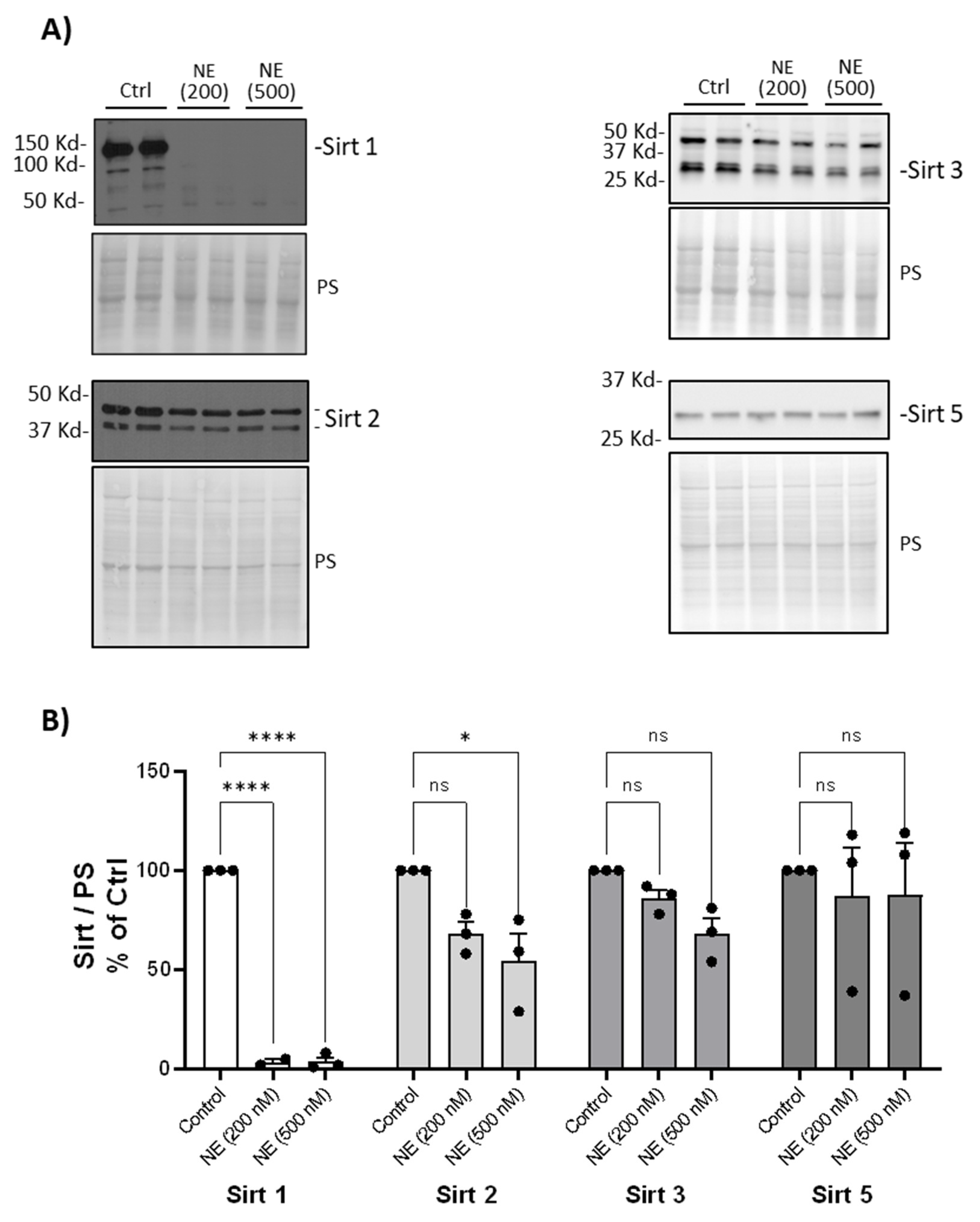 Preprints 100835 g004