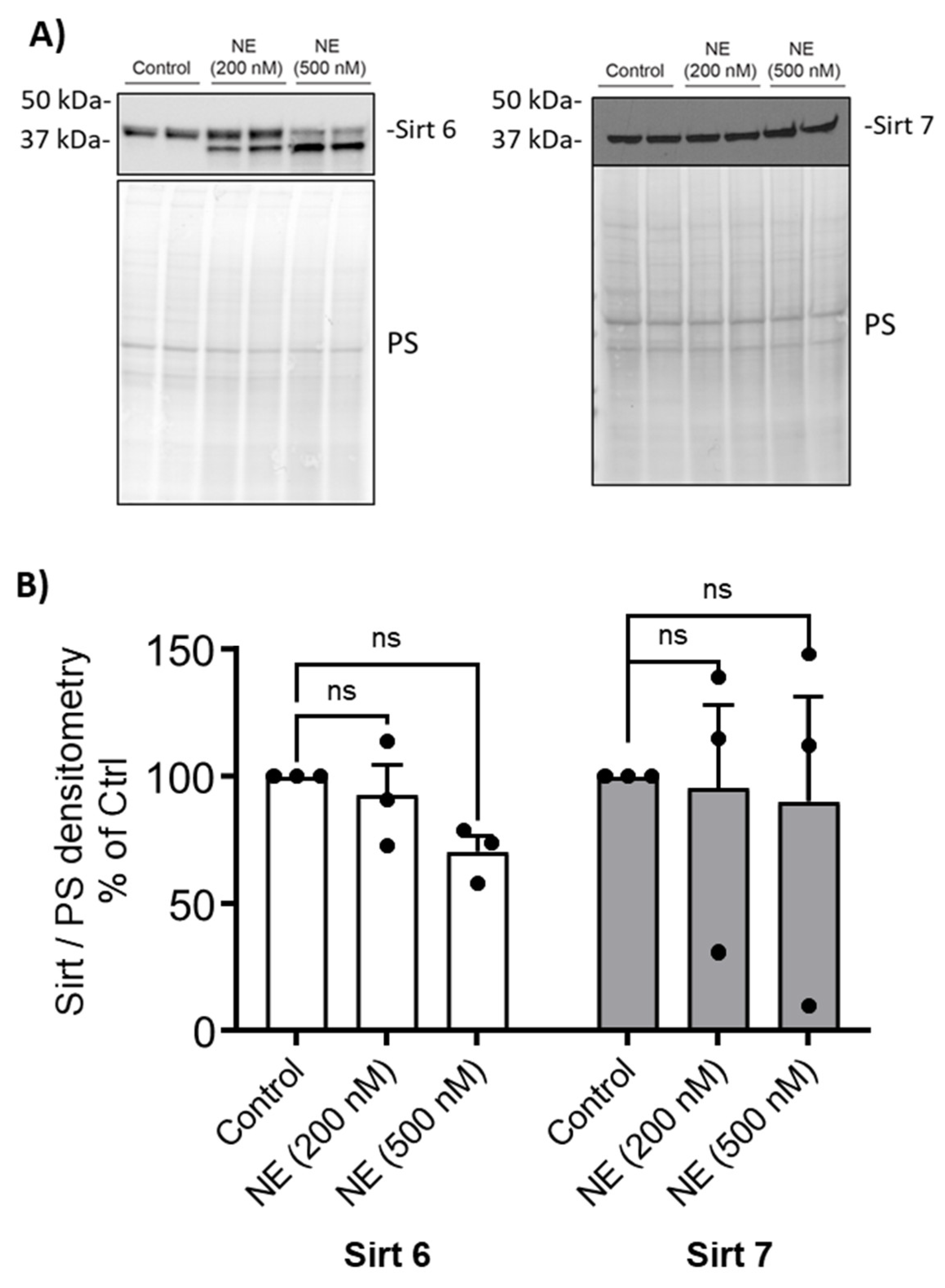 Preprints 100835 g005