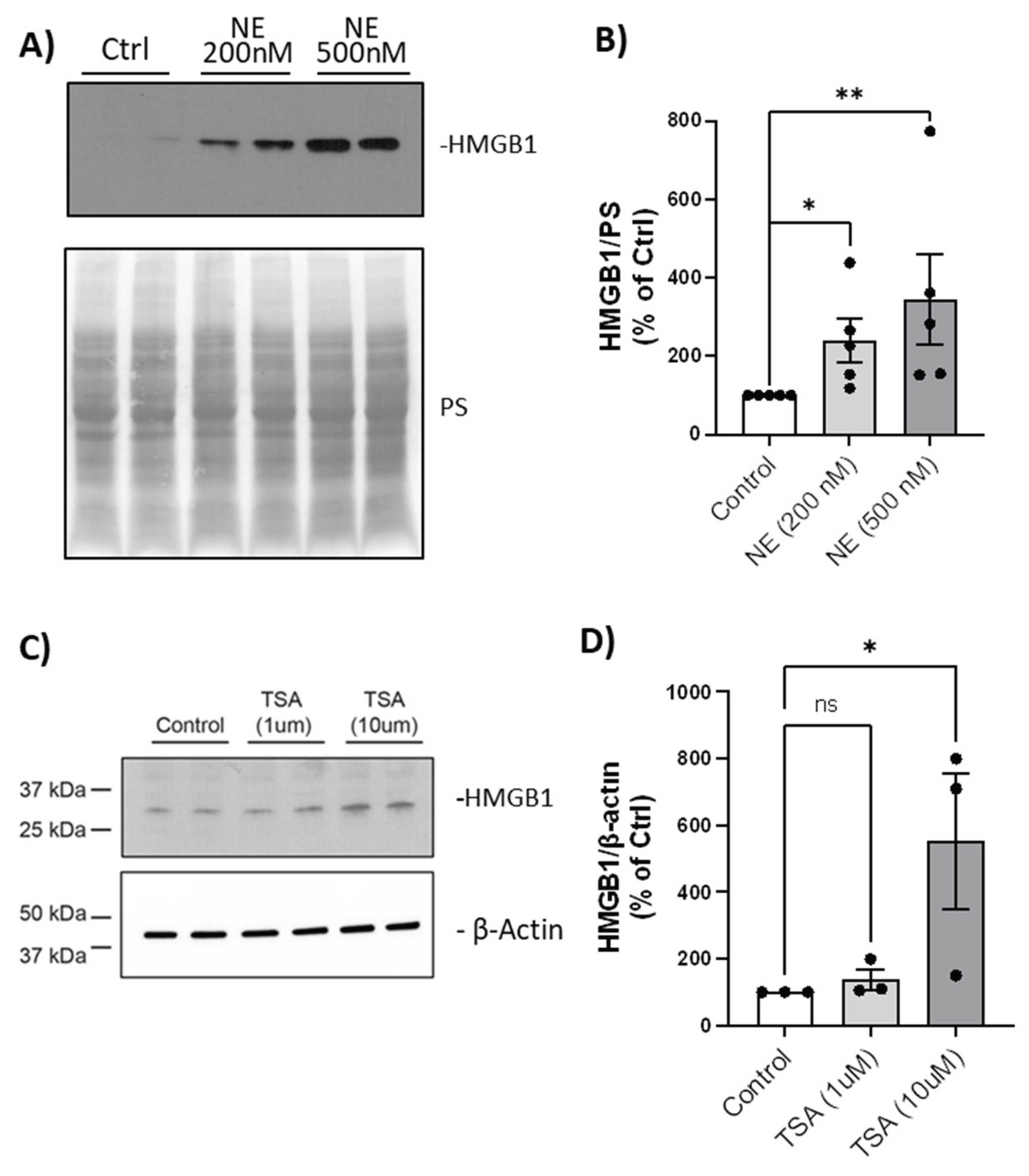 Preprints 100835 g008