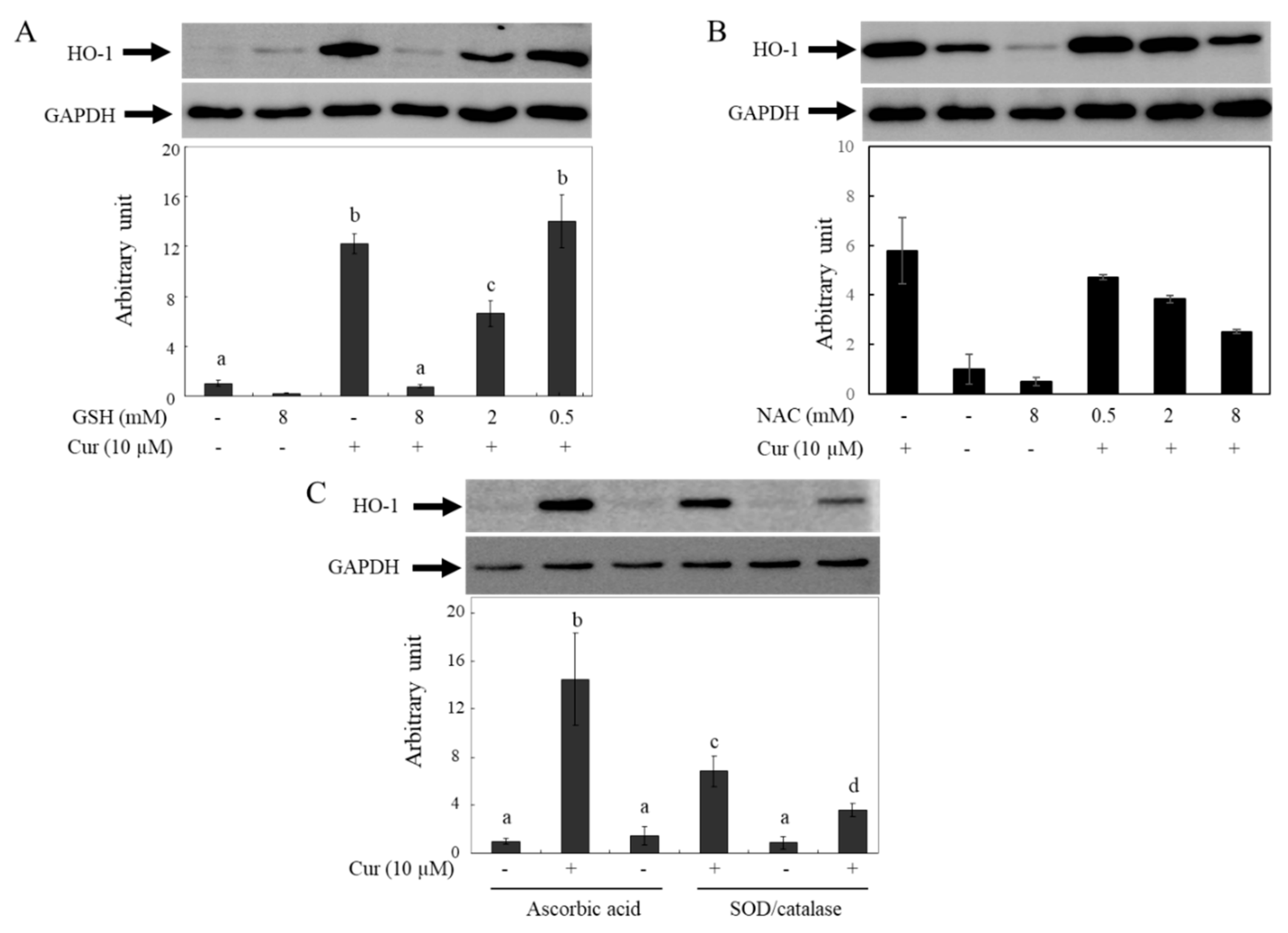 Preprints 83940 g006