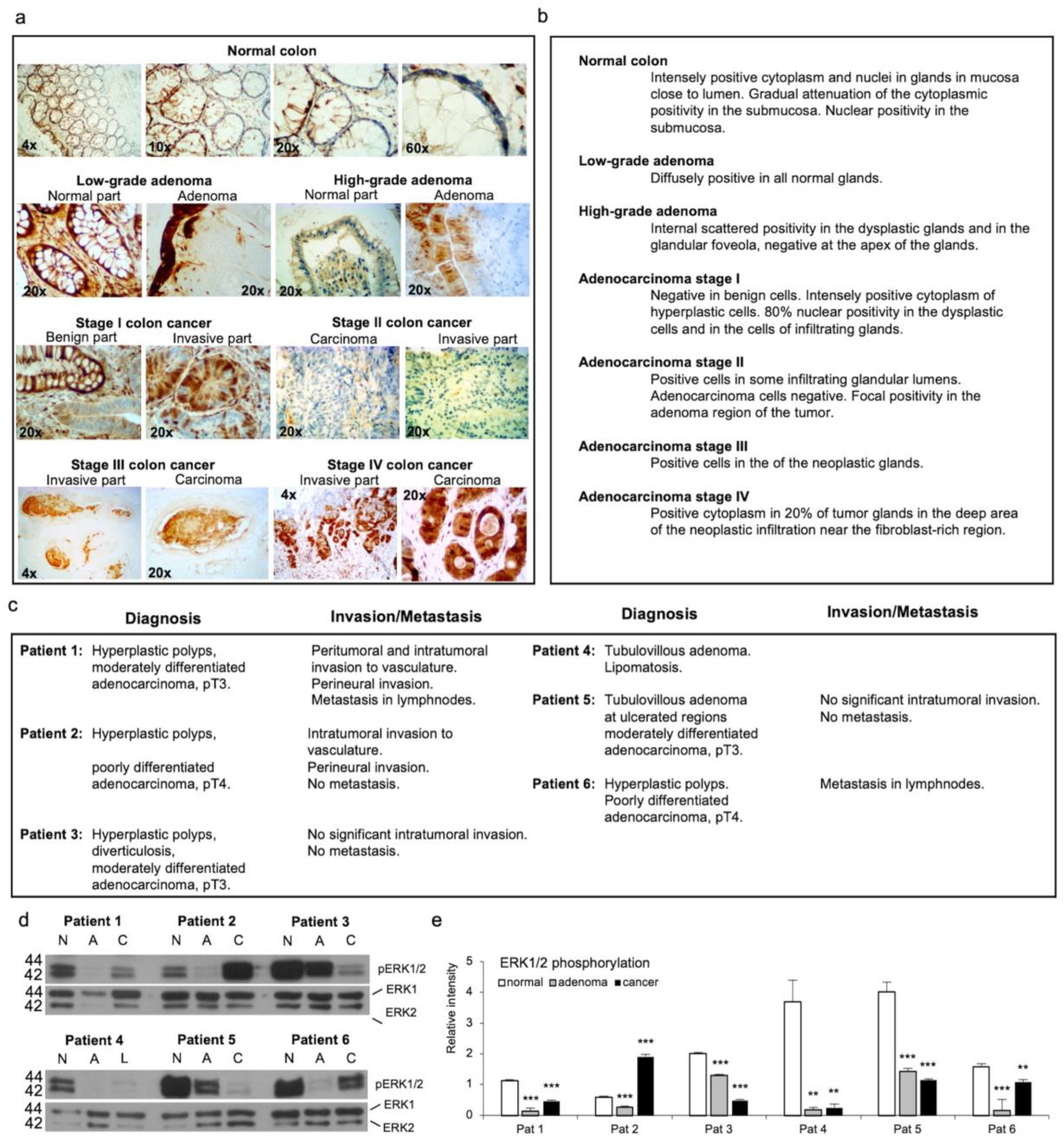 Preprints 92435 g001