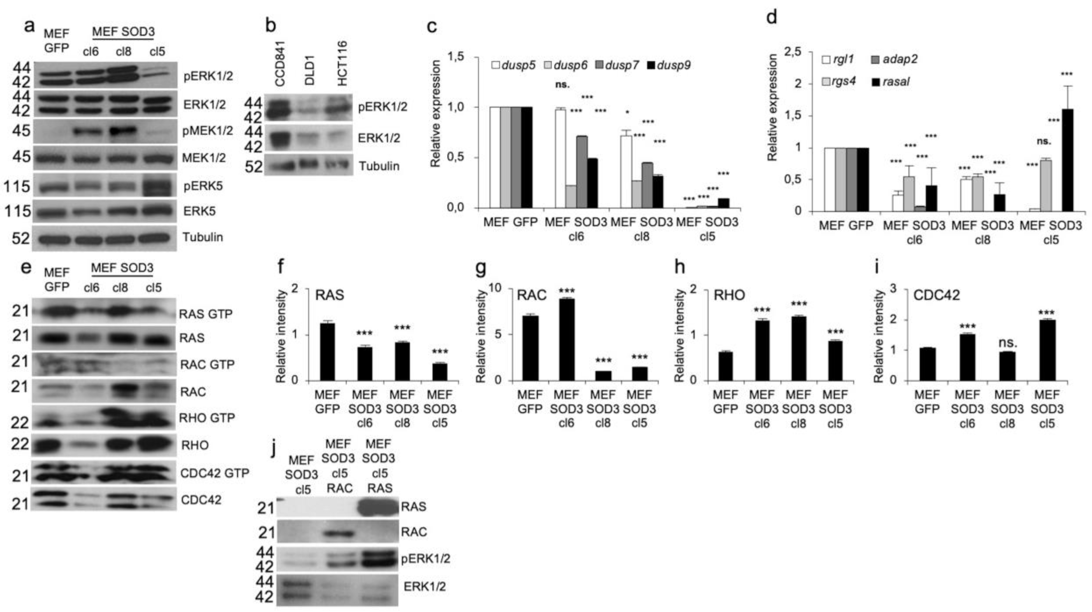 Preprints 92435 g002