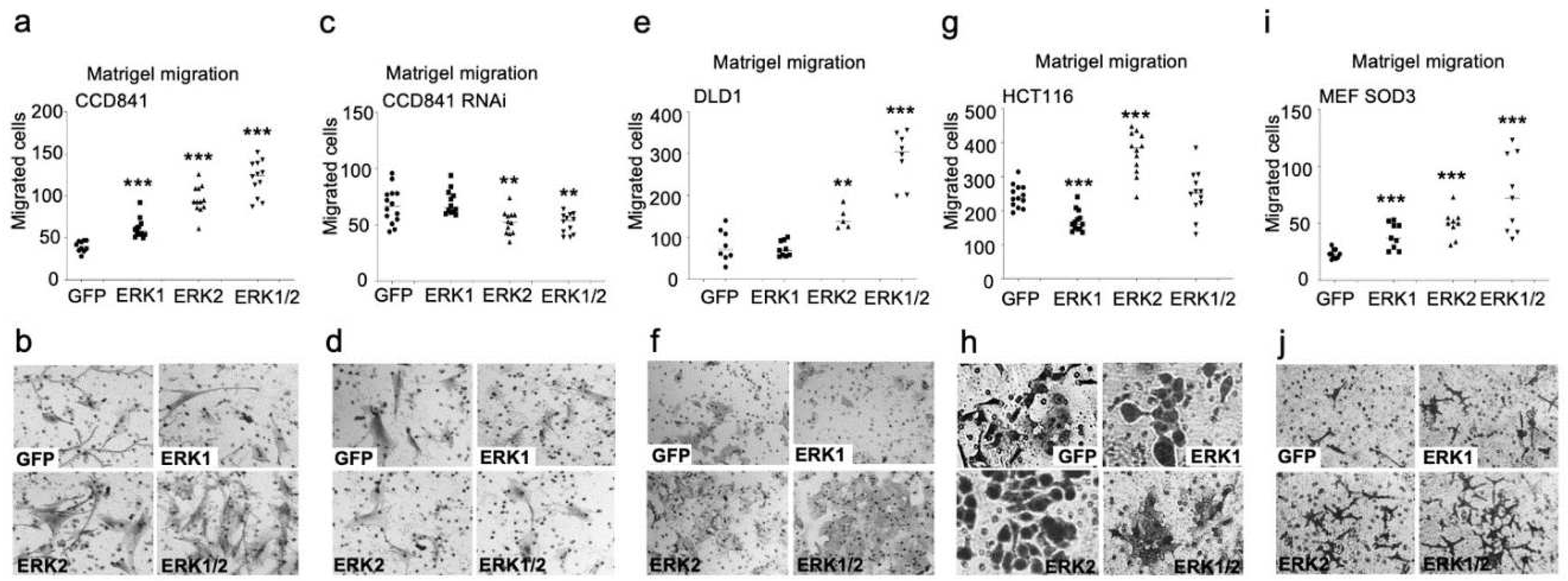 Preprints 92435 g003