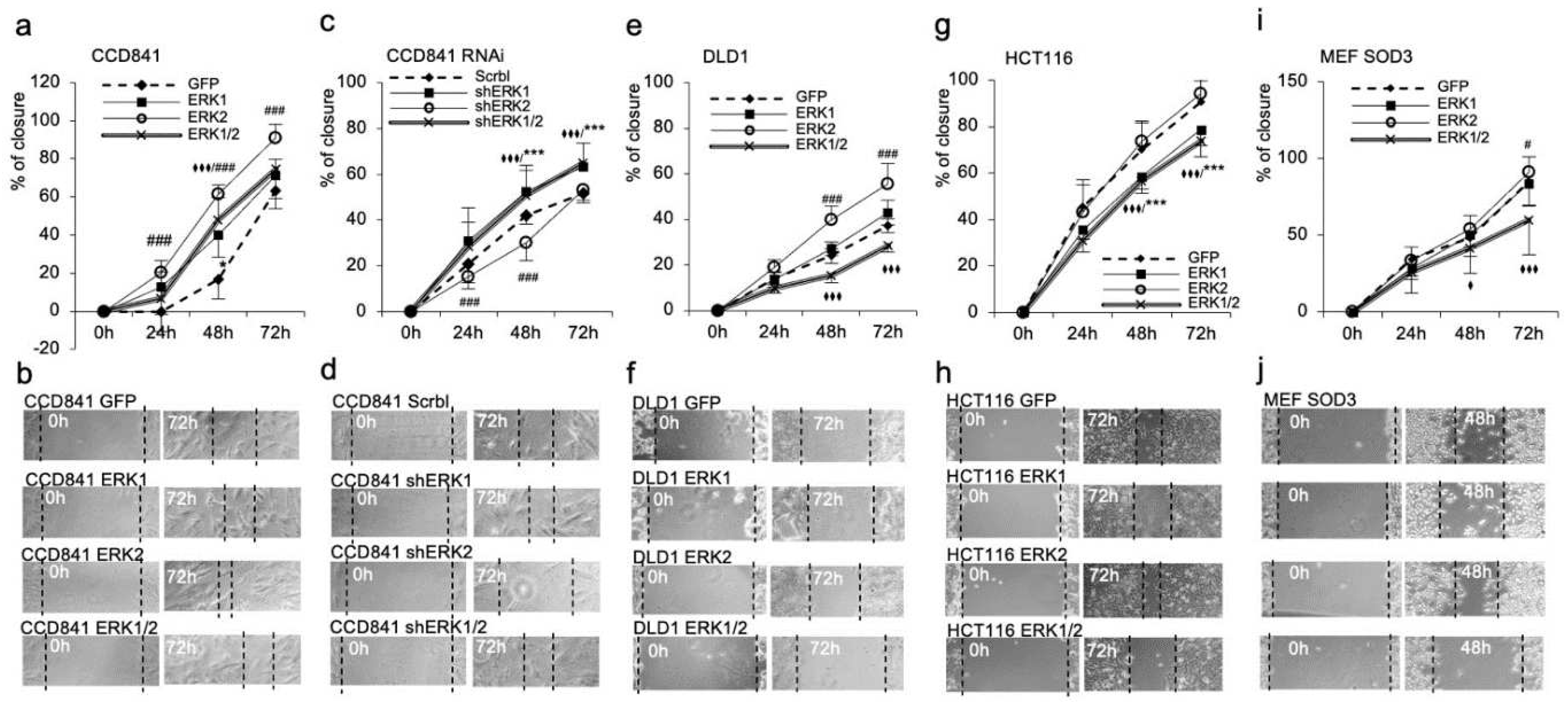 Preprints 92435 g004