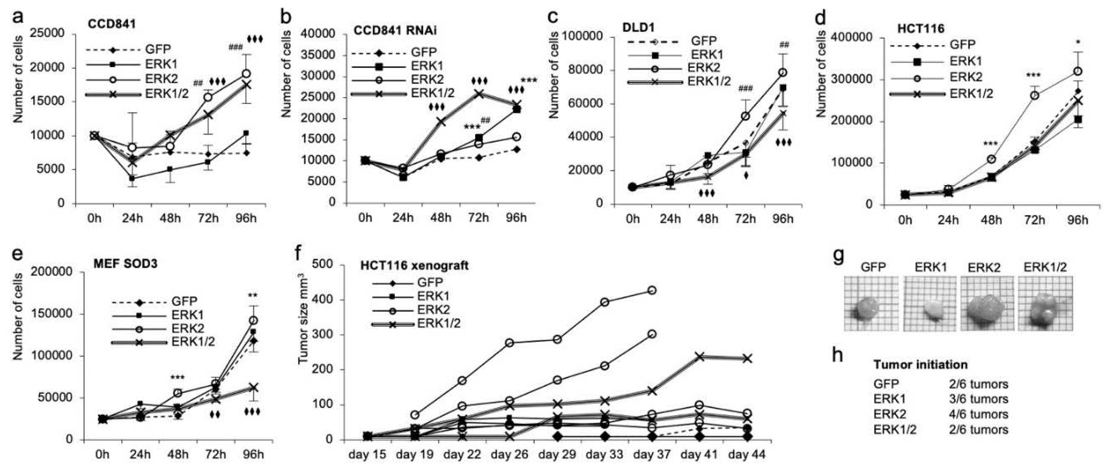 Preprints 92435 g005