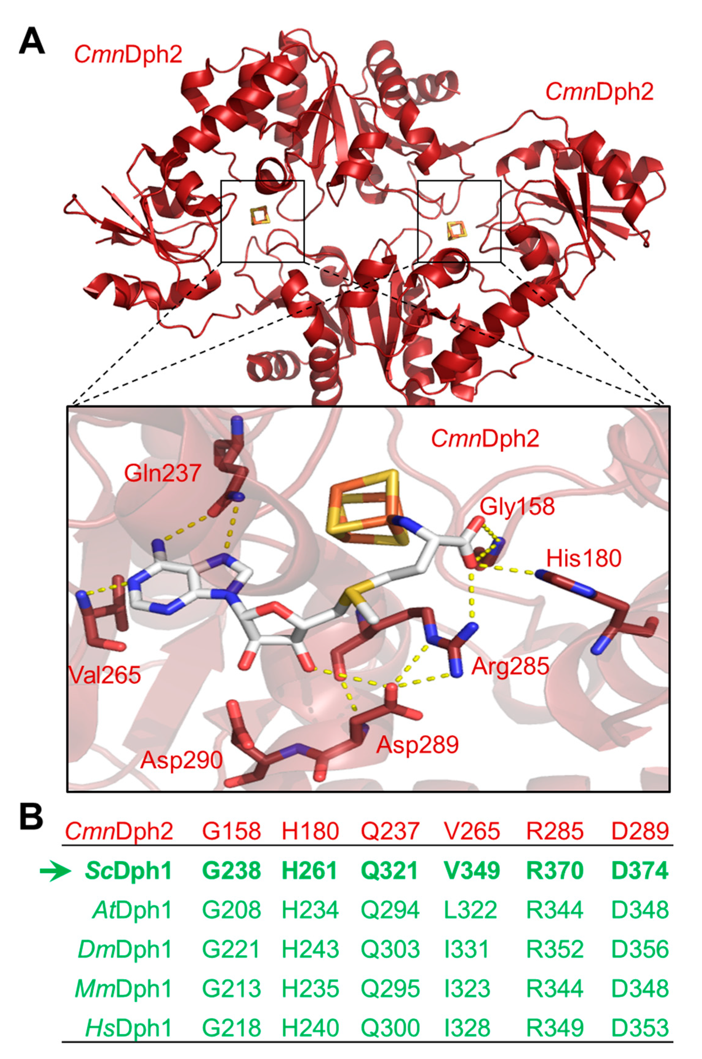 Preprints 89408 g001