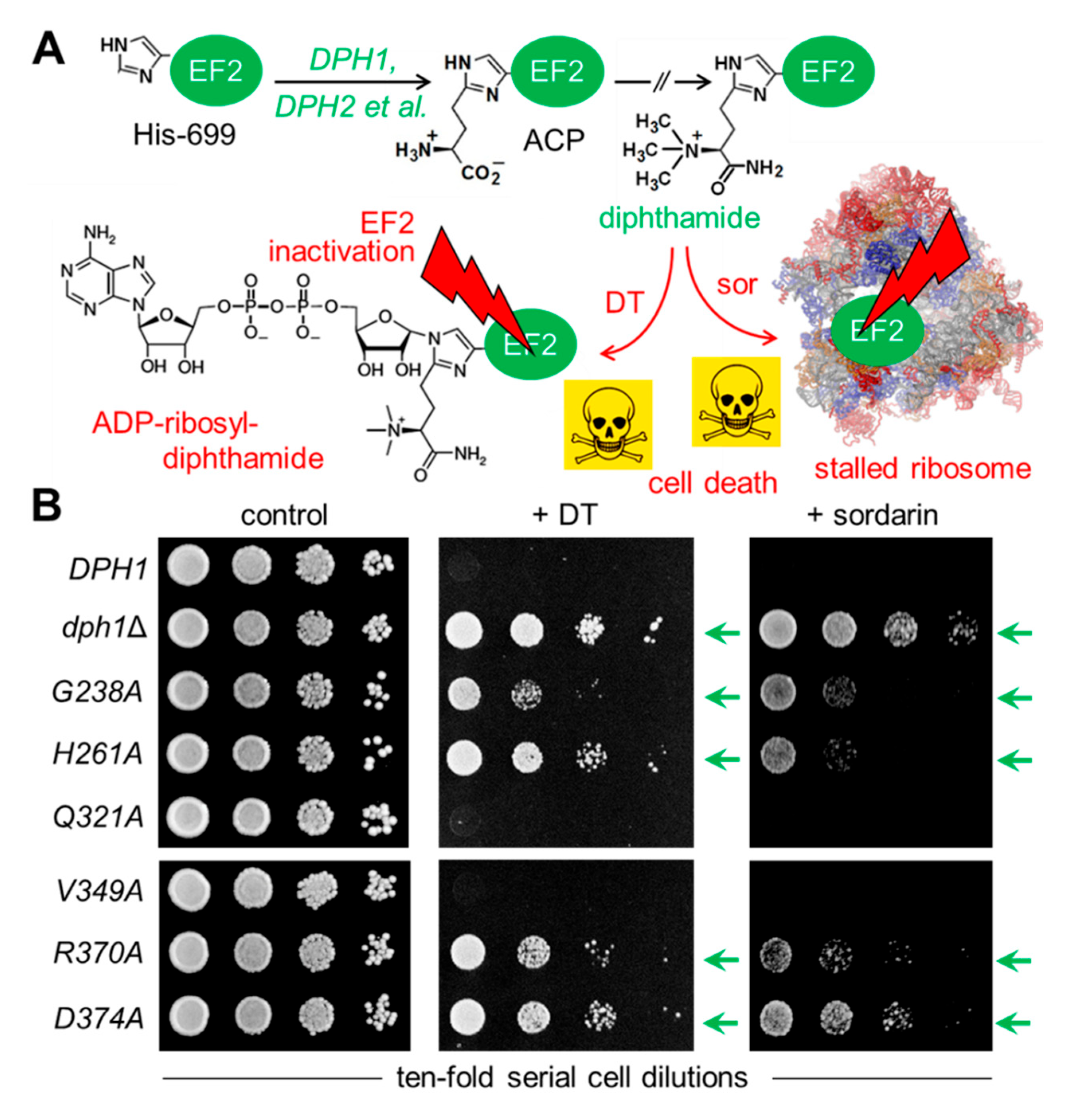 Preprints 89408 g002