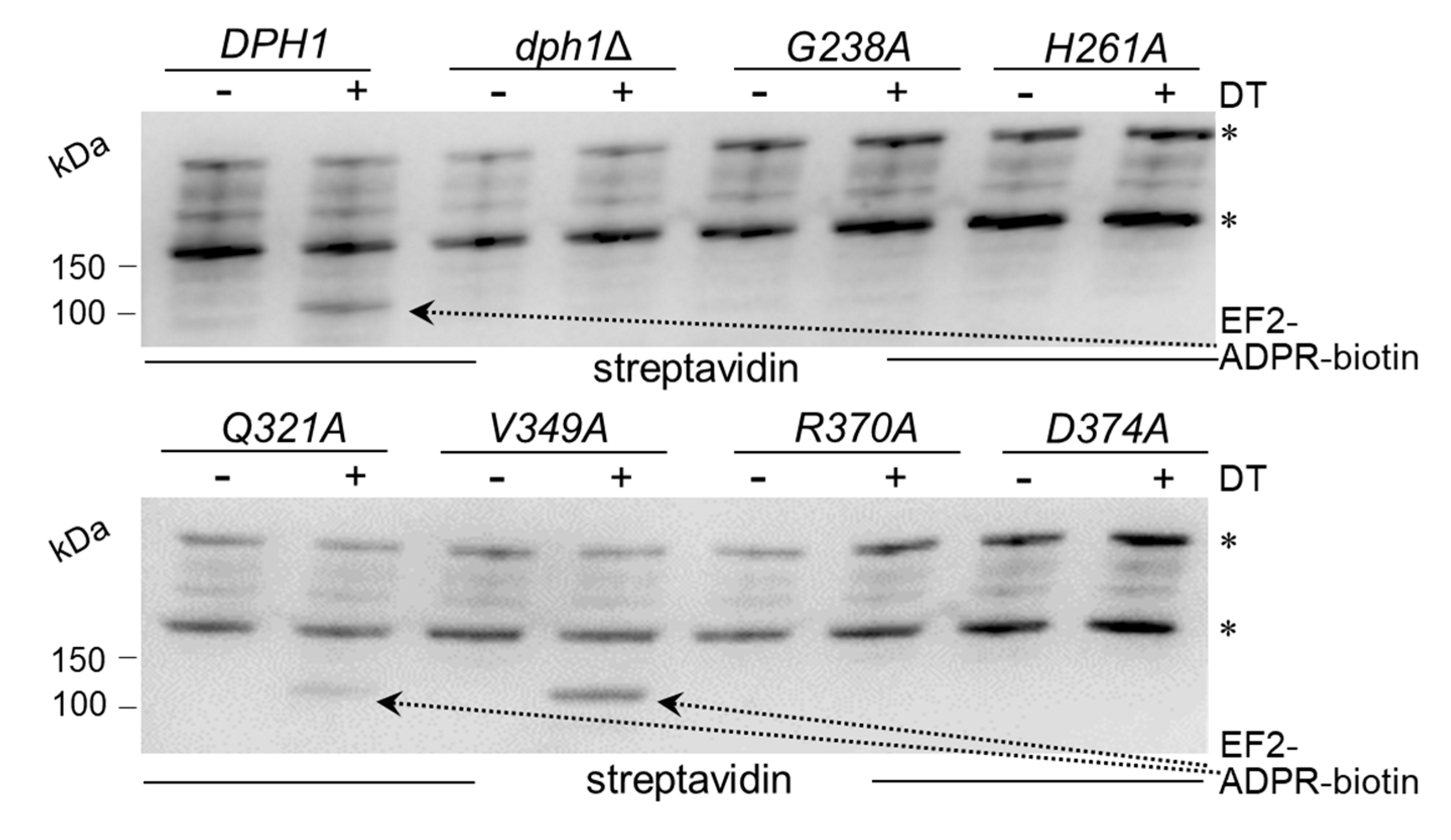 Preprints 89408 g003