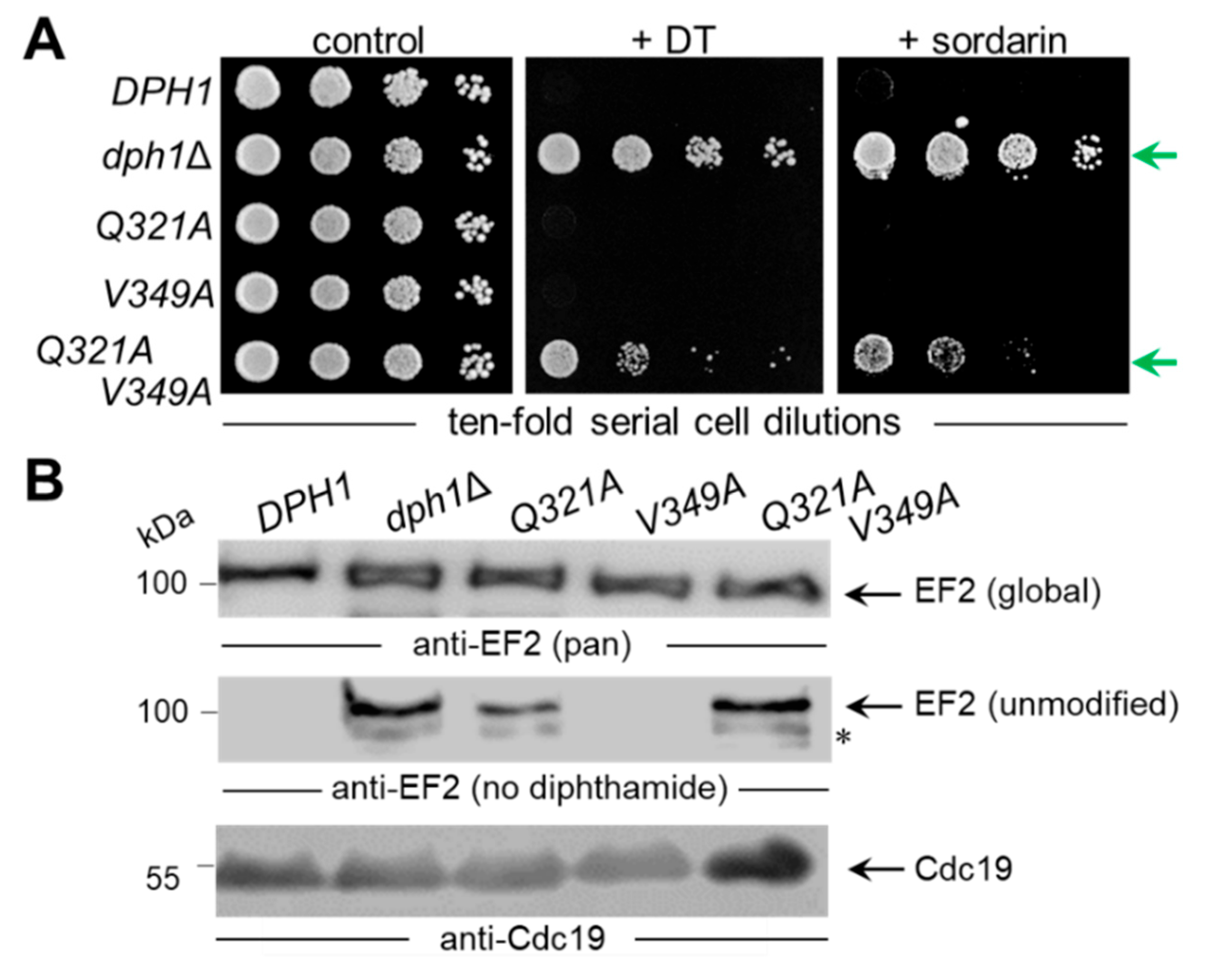 Preprints 89408 g004