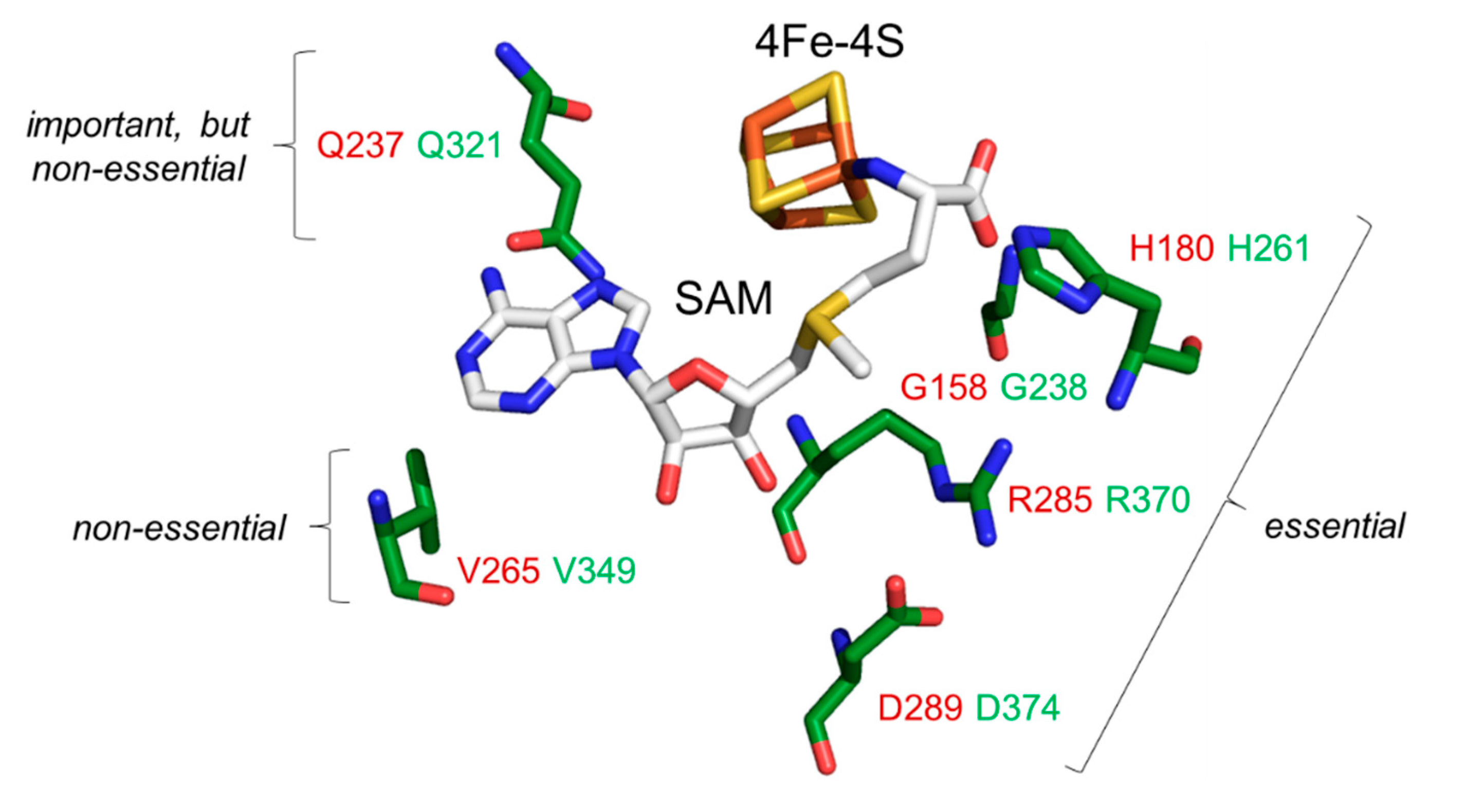 Preprints 89408 g005