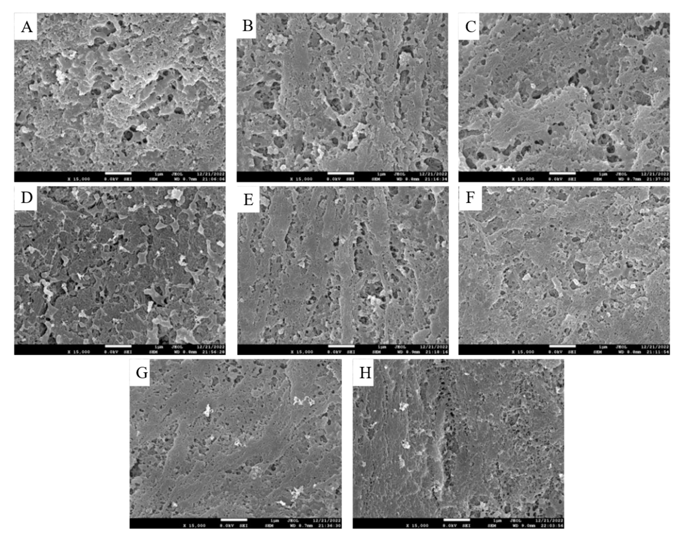 Preprints 90556 g004