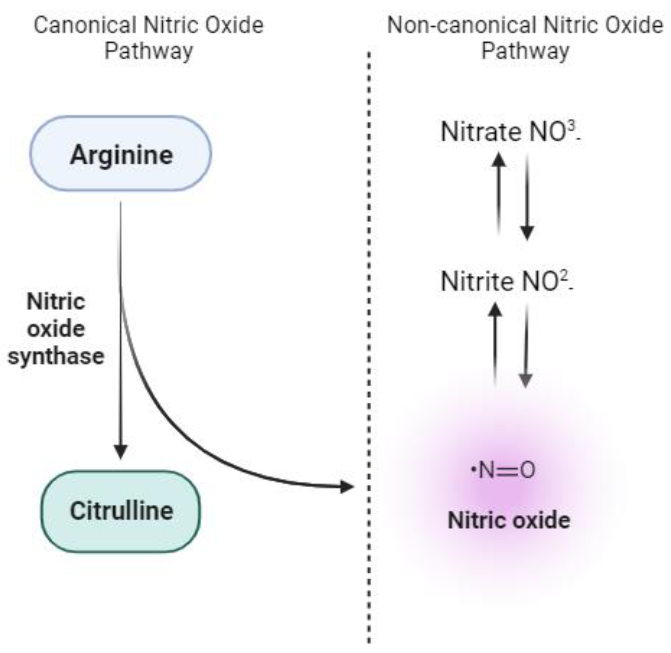 Preprints 103646 g001