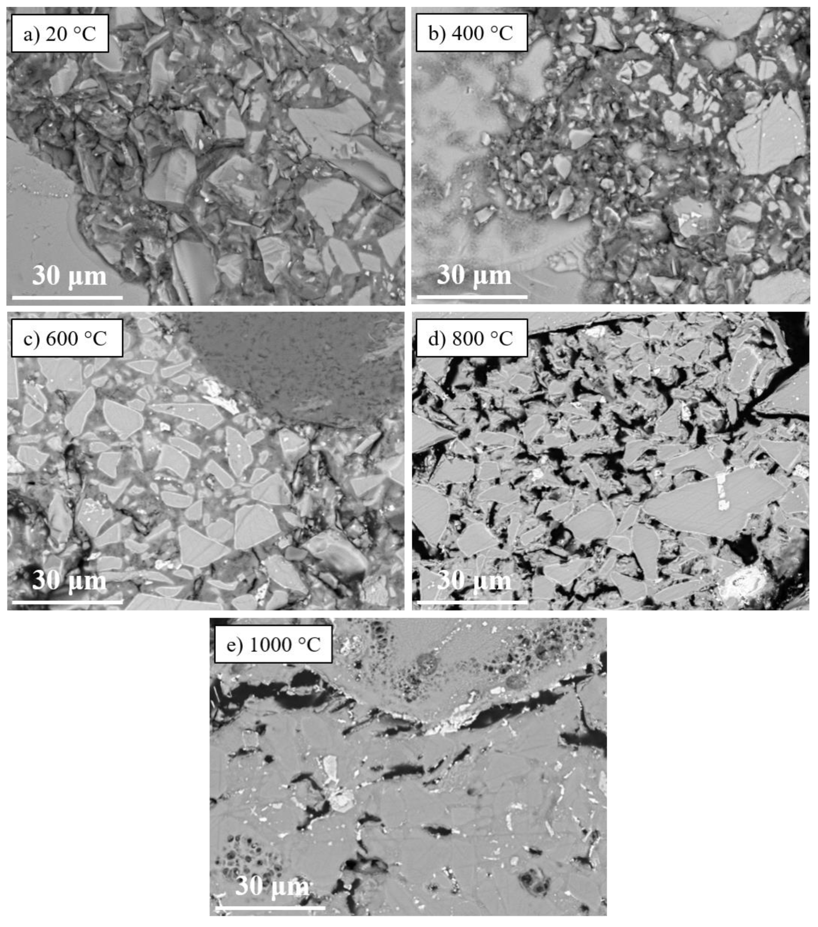 Preprints 118906 g009