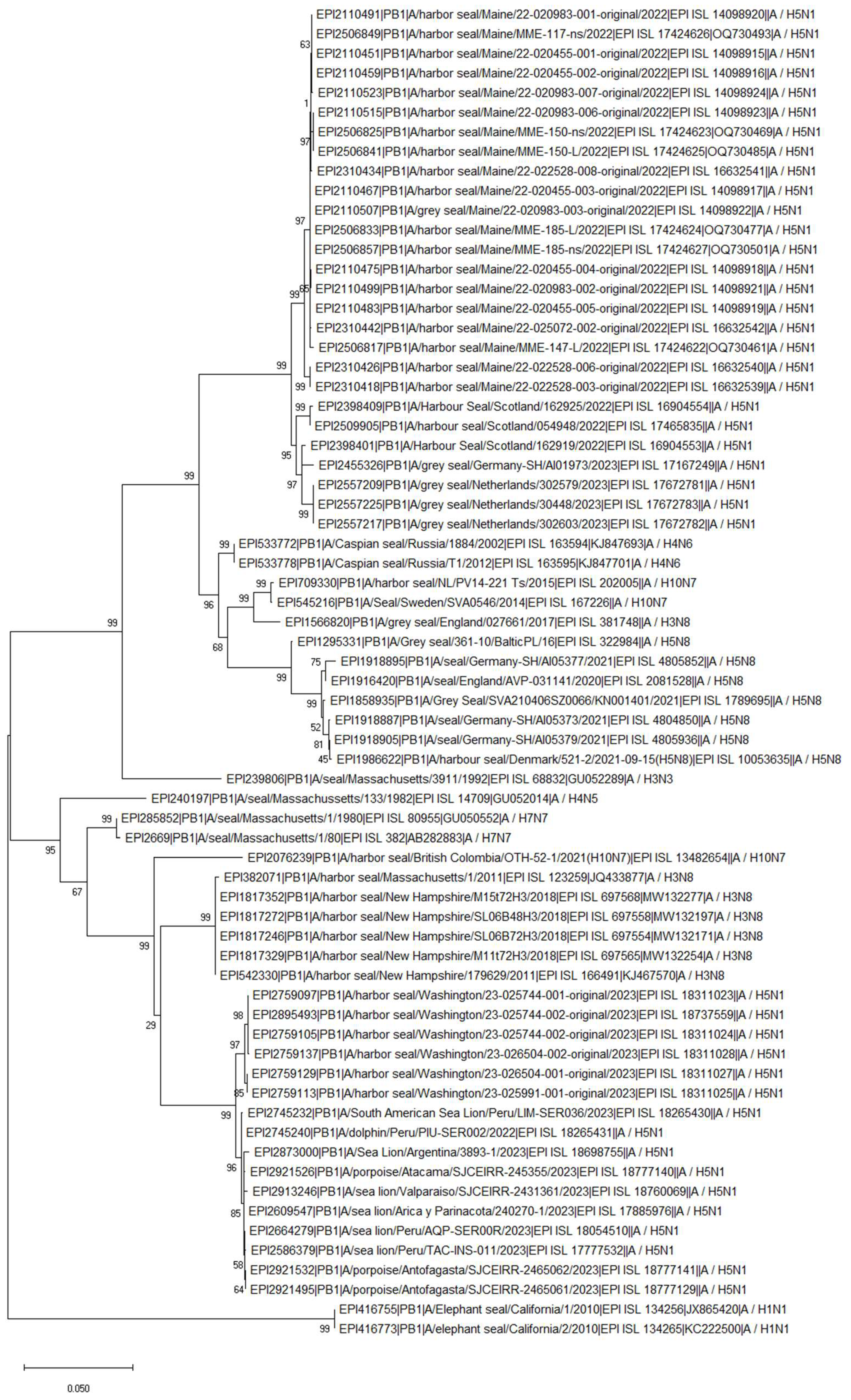 Preprints 117096 g004