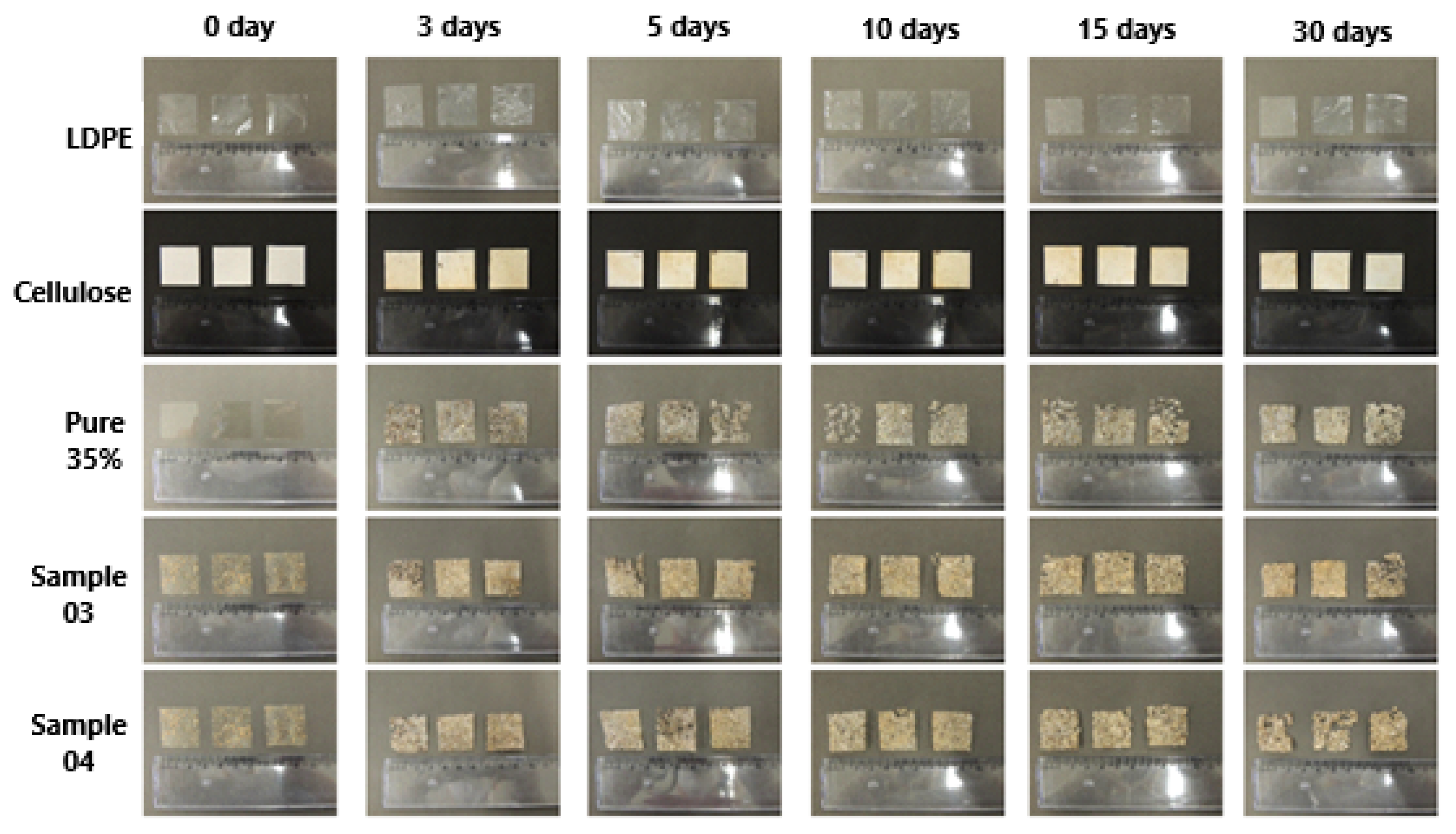 Preprints 106811 g002