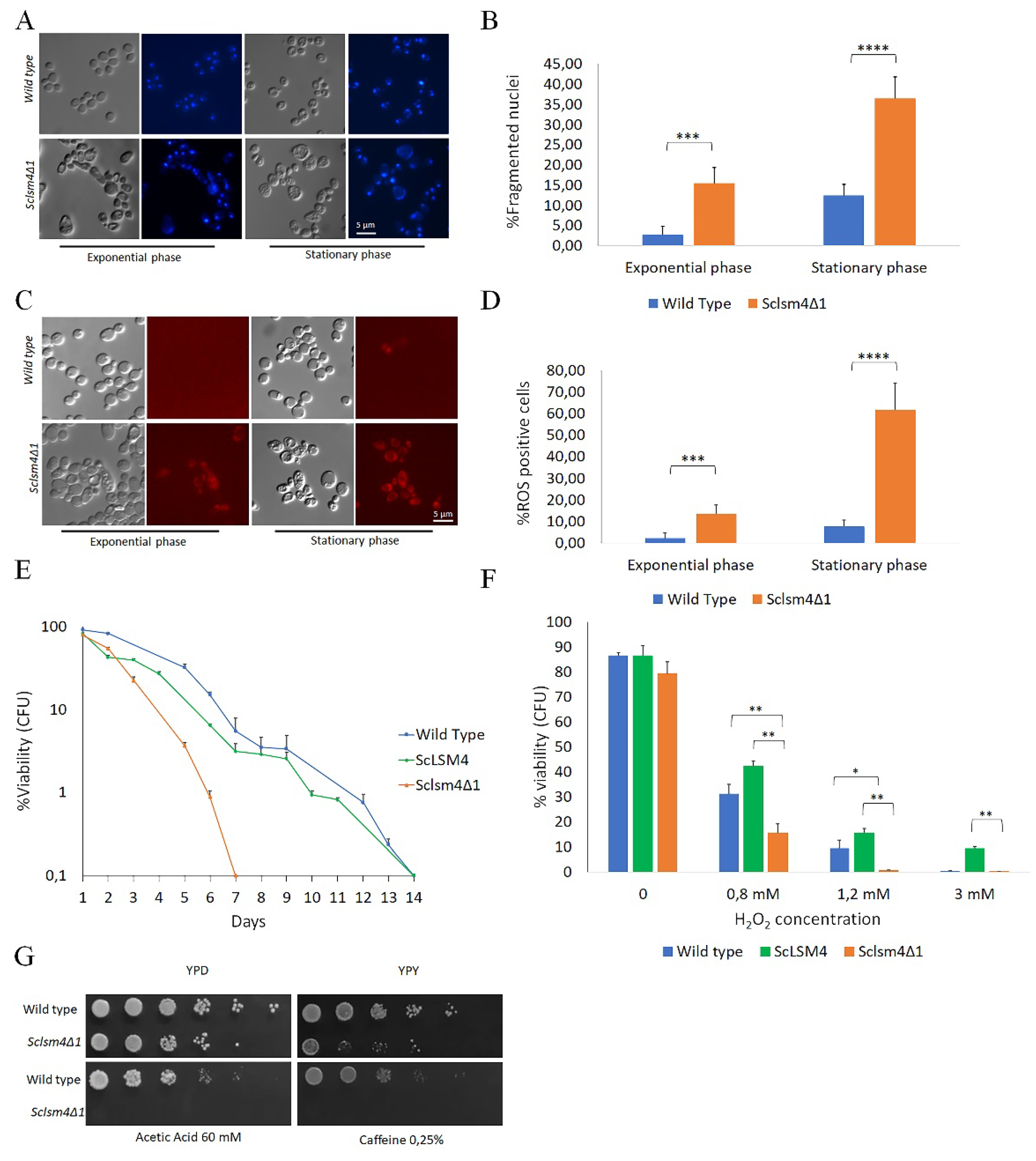 Preprints 79957 g001