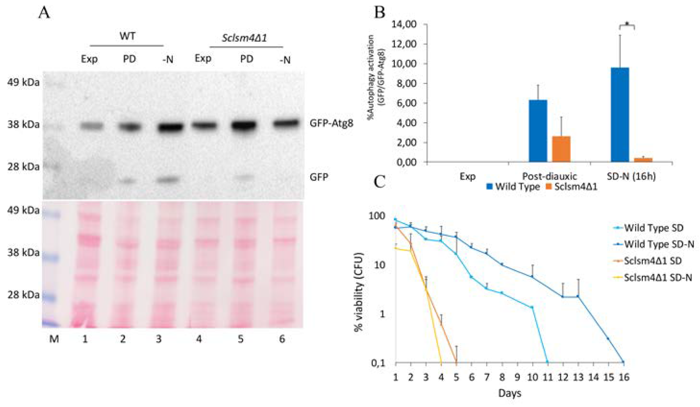 Preprints 79957 g002