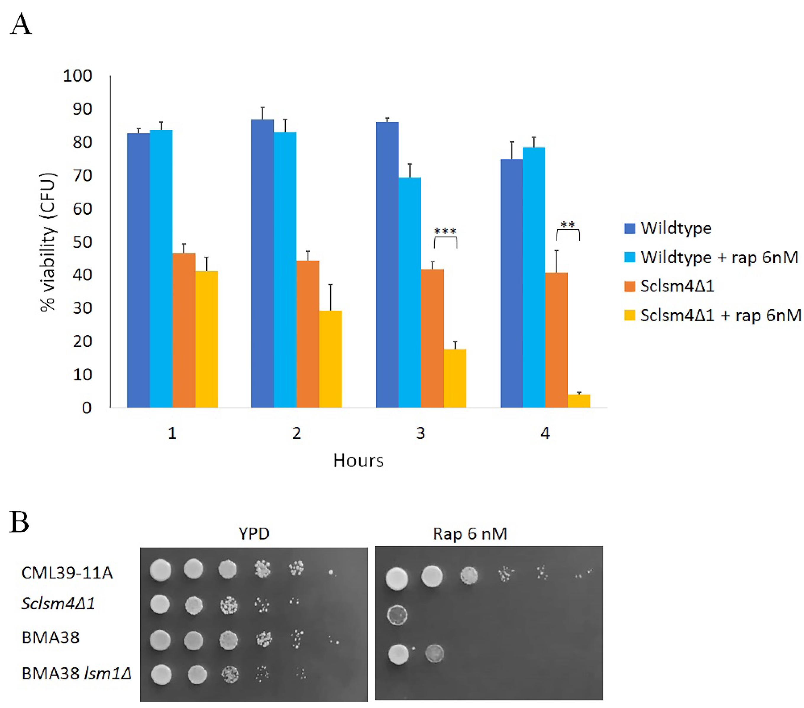 Preprints 79957 g003