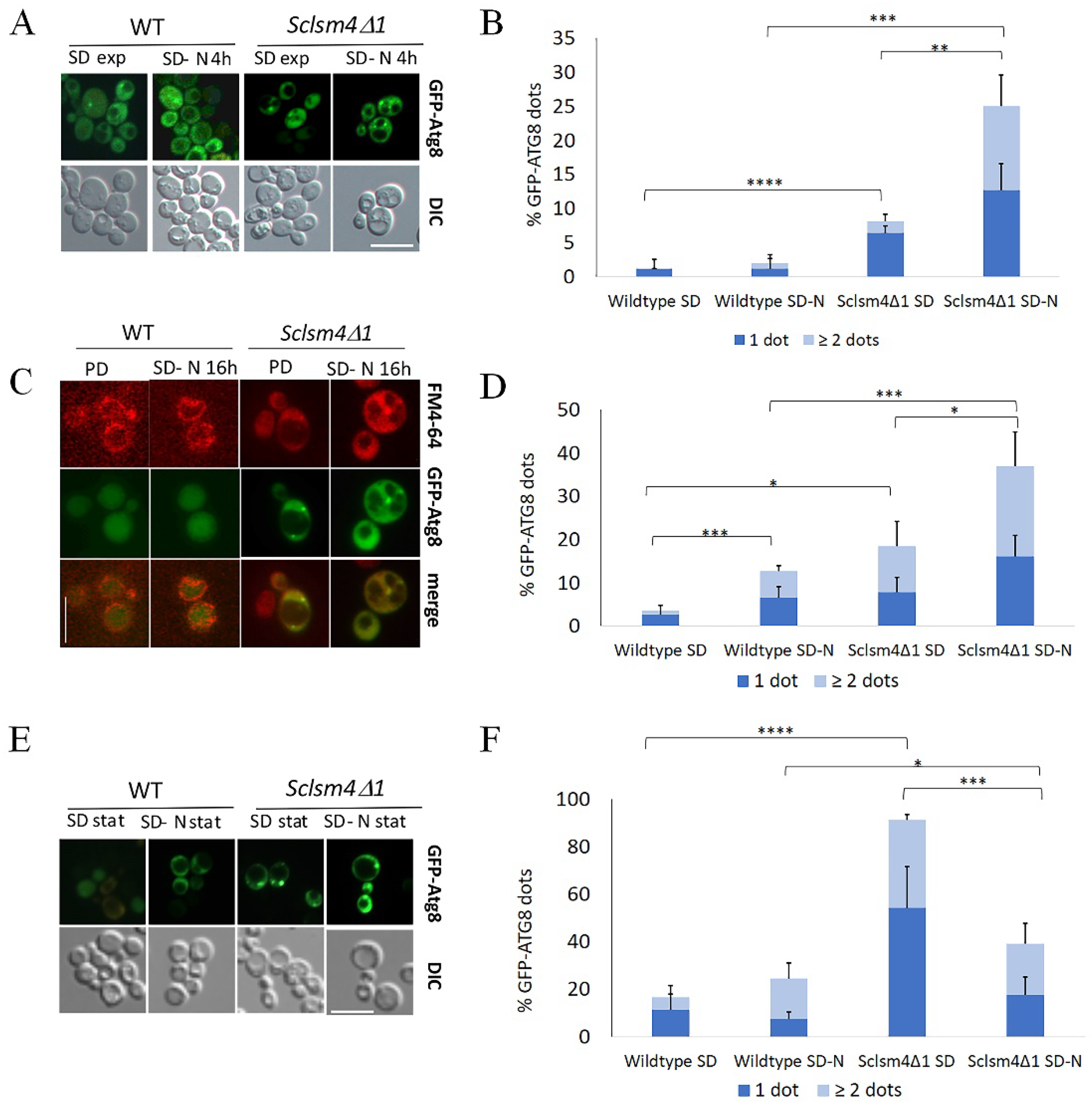 Preprints 79957 g005