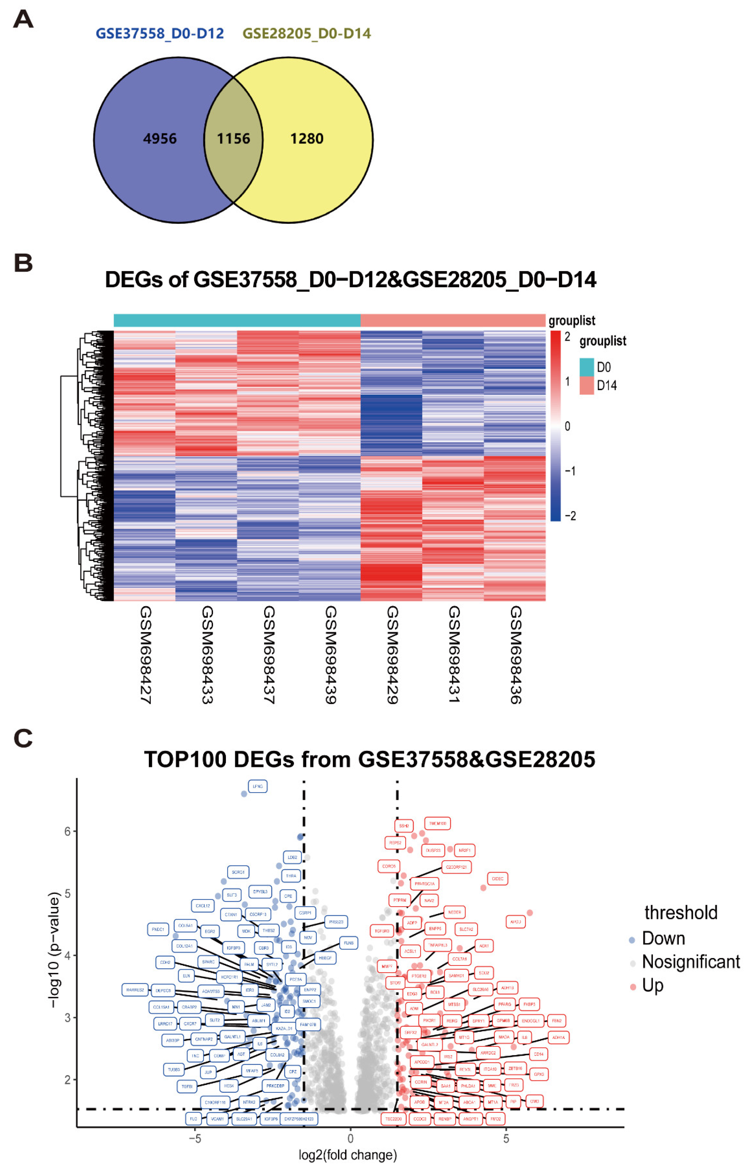 Preprints 121551 g001