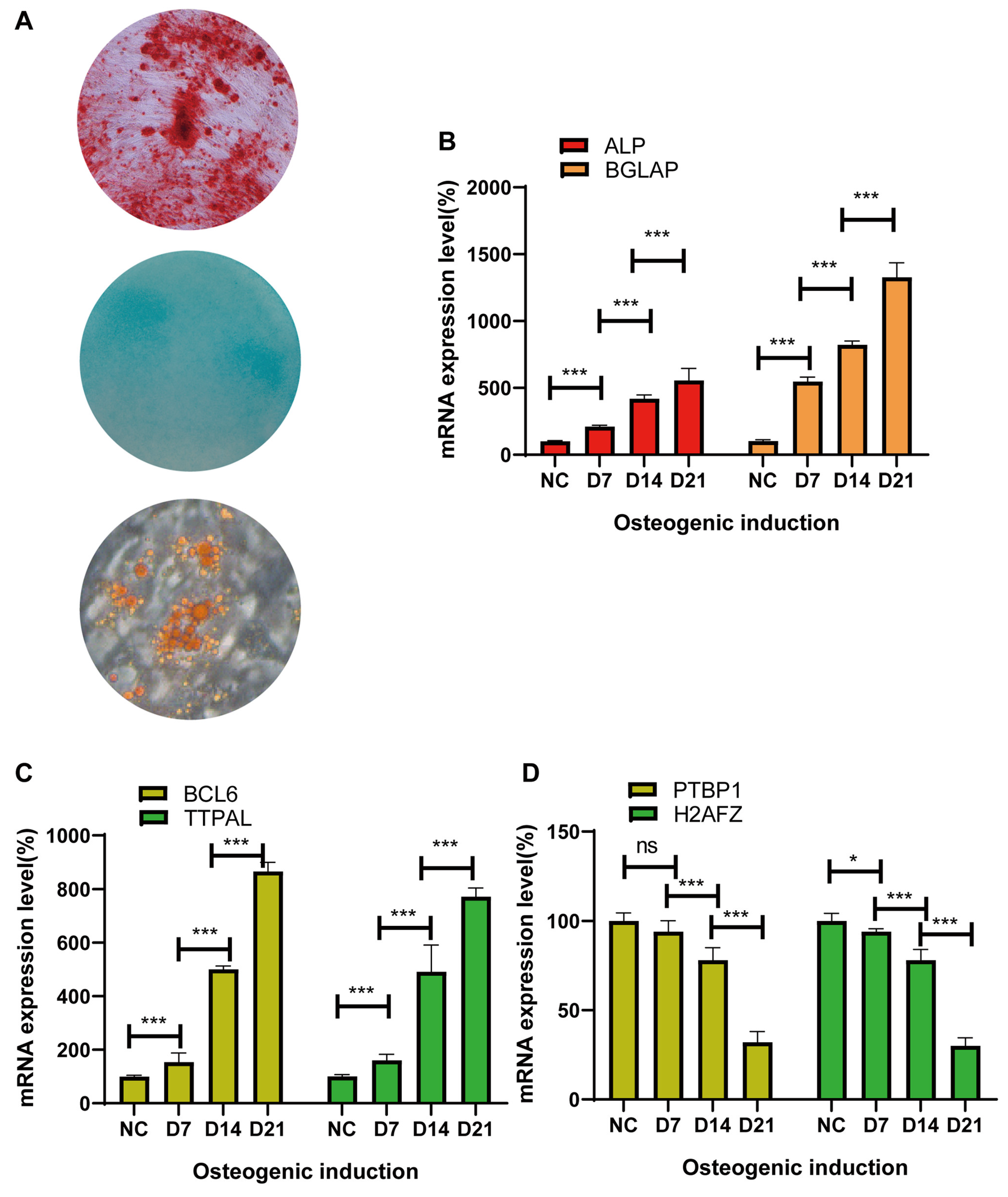 Preprints 121551 g004