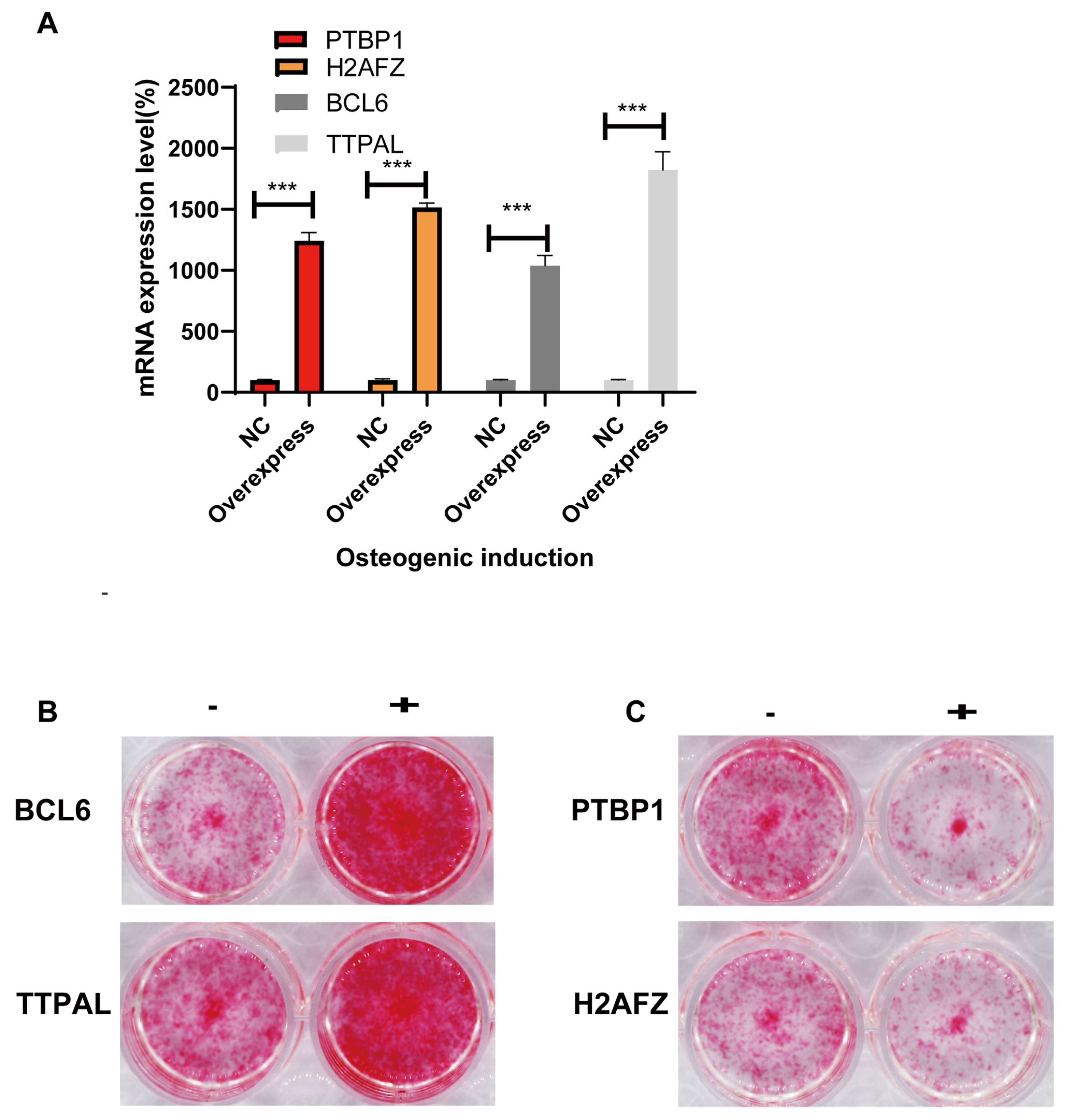 Preprints 121551 g005