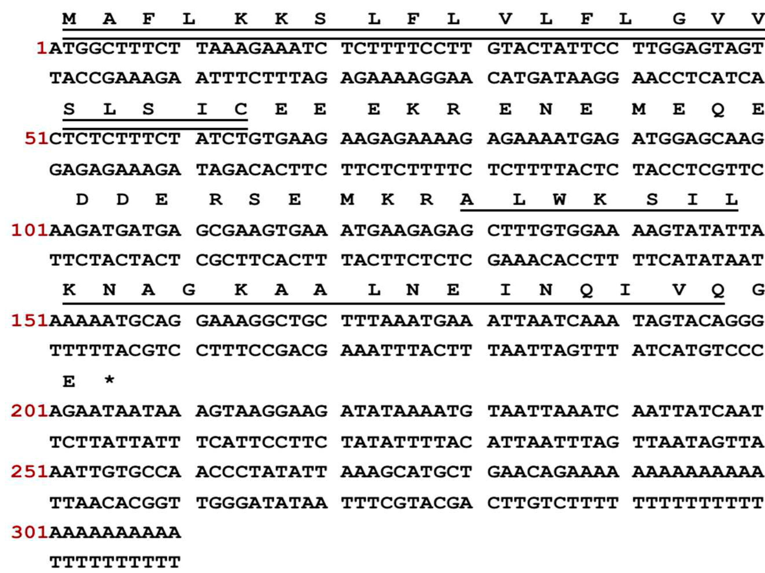 Preprints 81488 g001