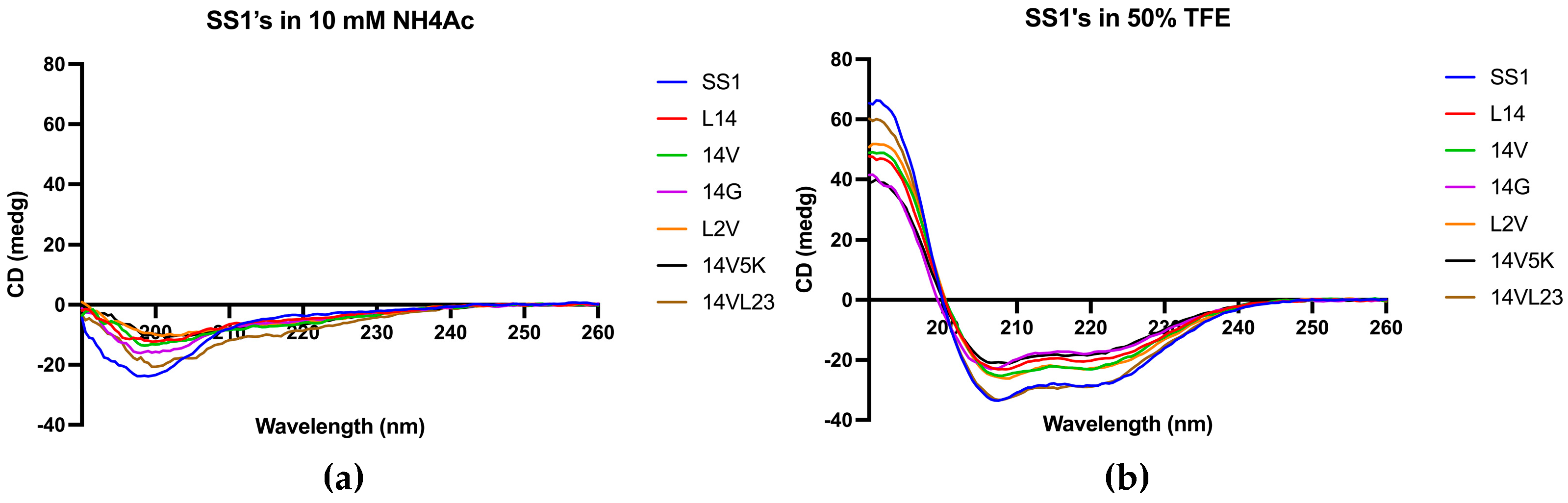 Preprints 81488 g003